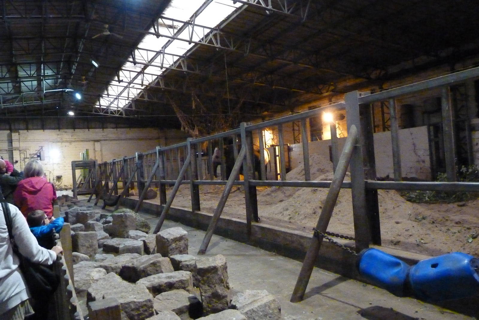 Asian Elephant House, September 2016