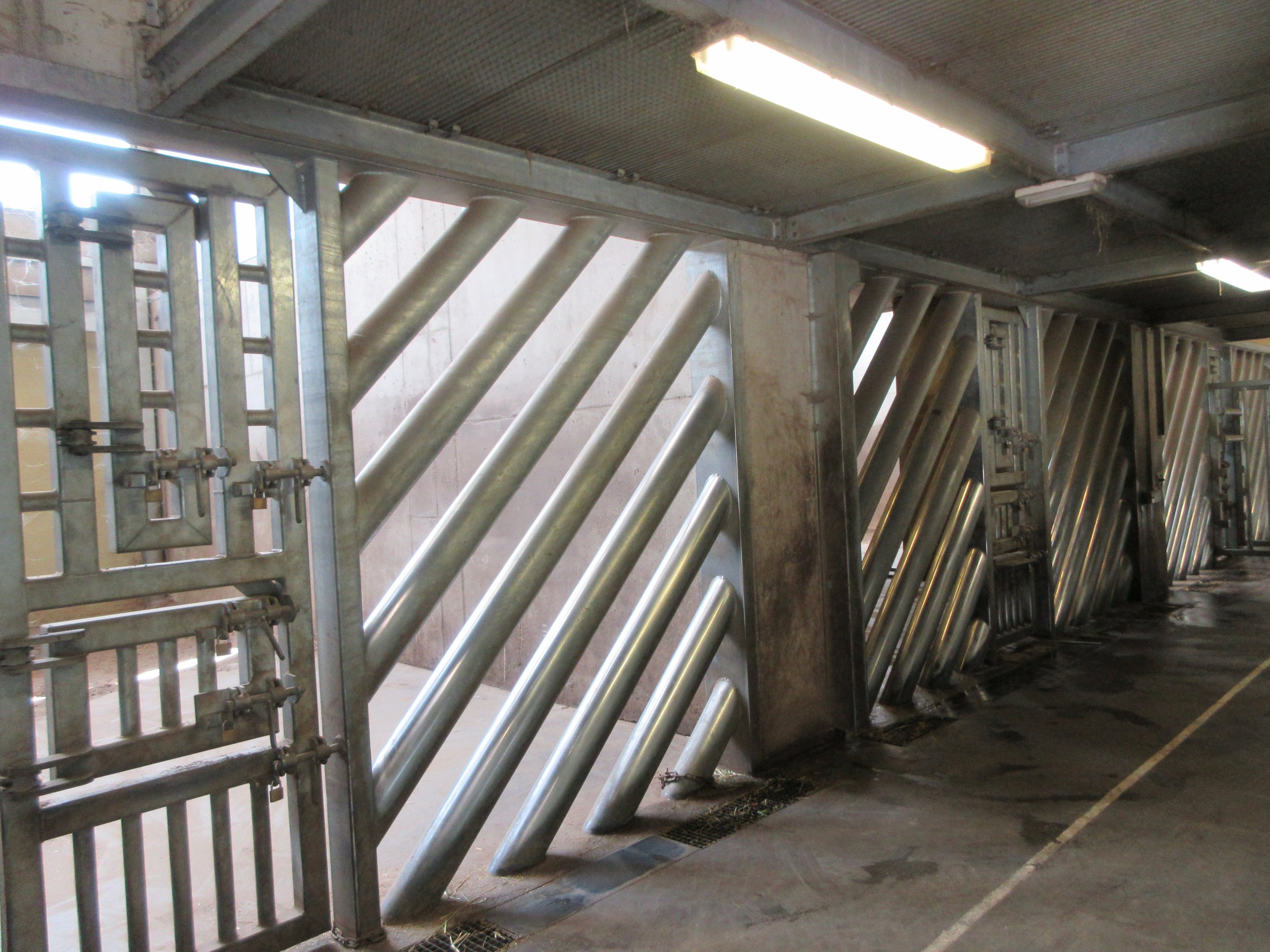 Asian Elephant House - side areas