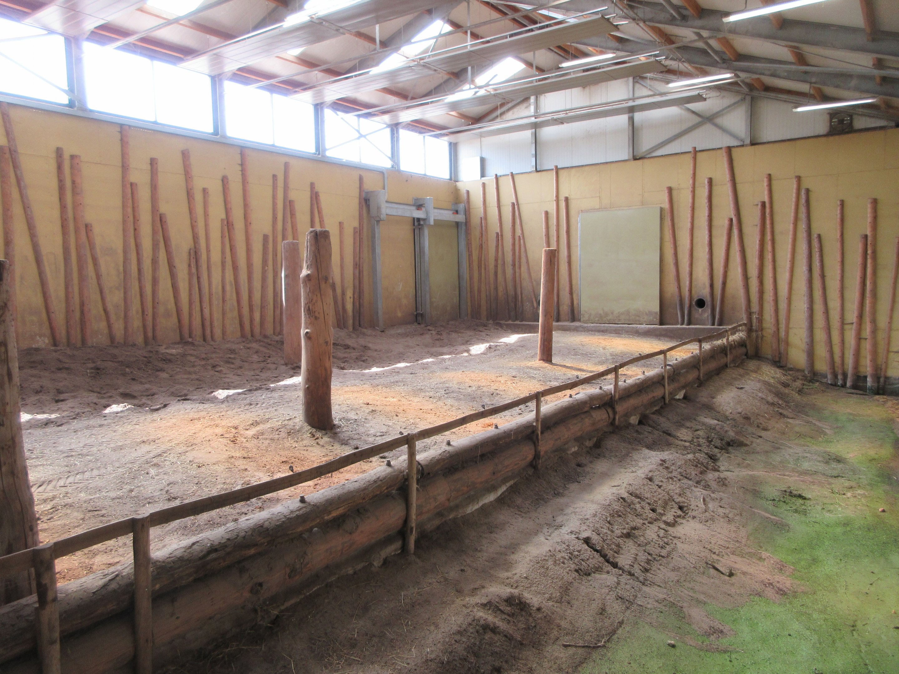 Asian Elephant House