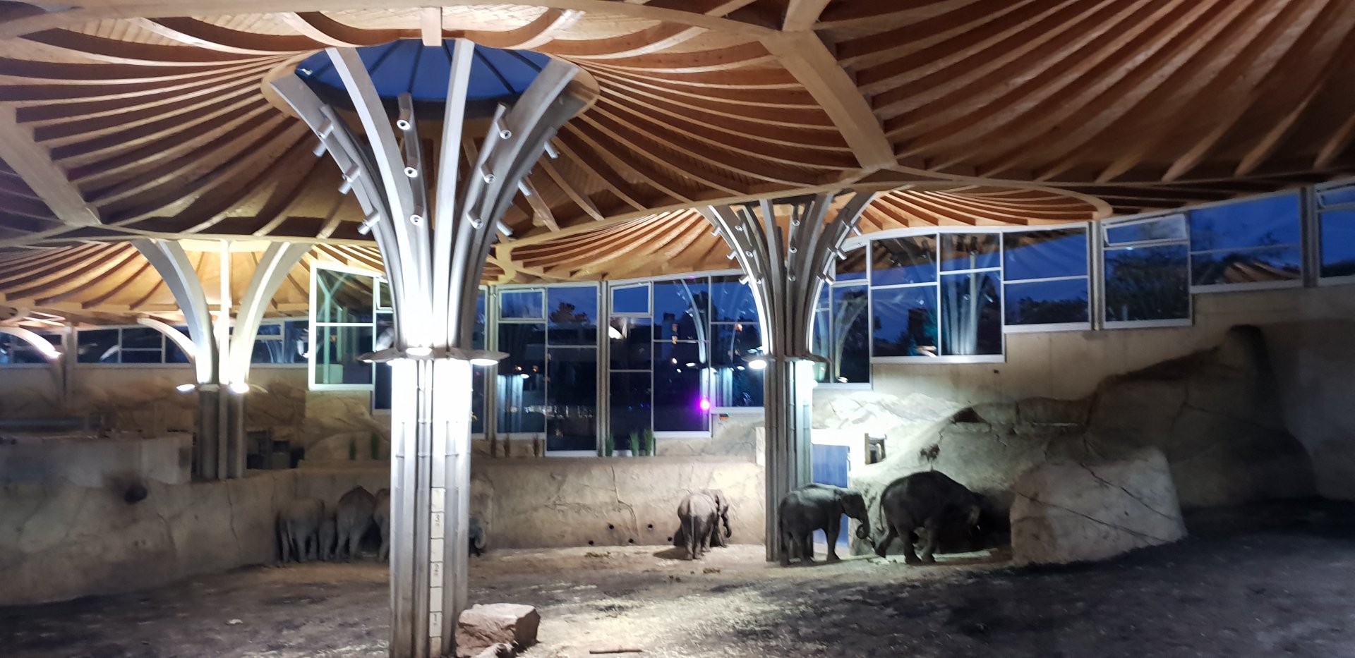 Asian Elephant House