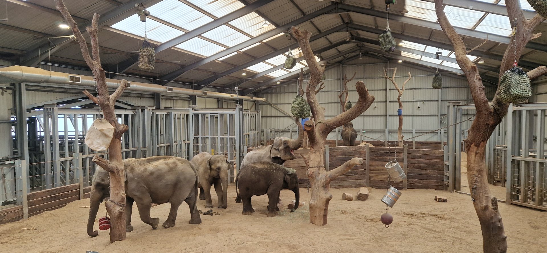 Asian Elephant House