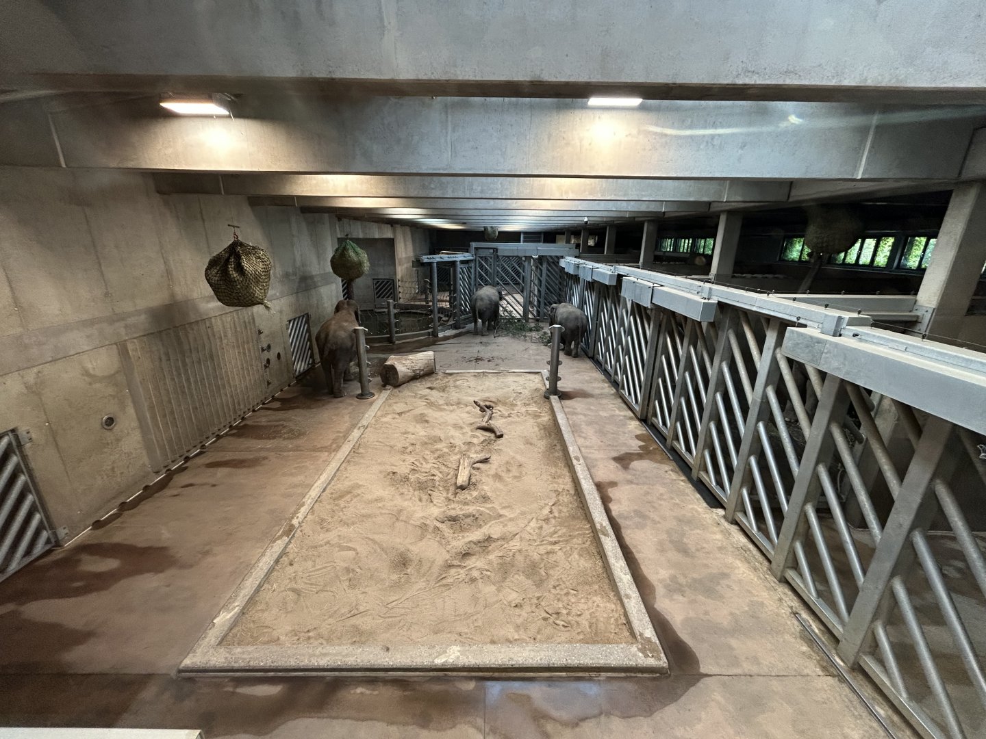 Asian Elephant House