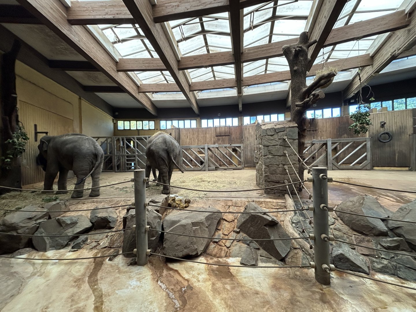 Asian Elephant House
