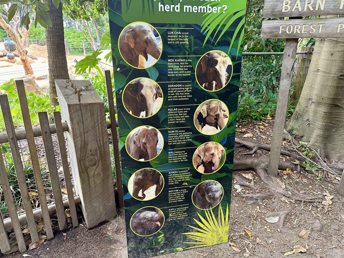 Asian Elephant ID Board