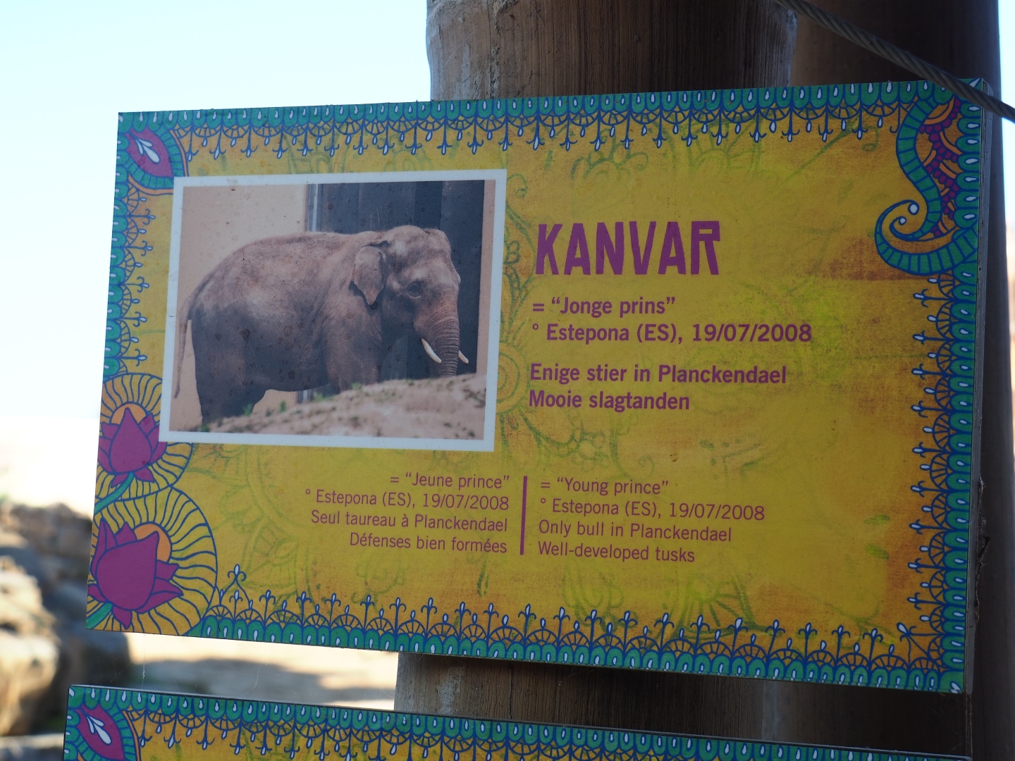 Asian elephant identification sign - Kanvar (Nov 18th, 2018)