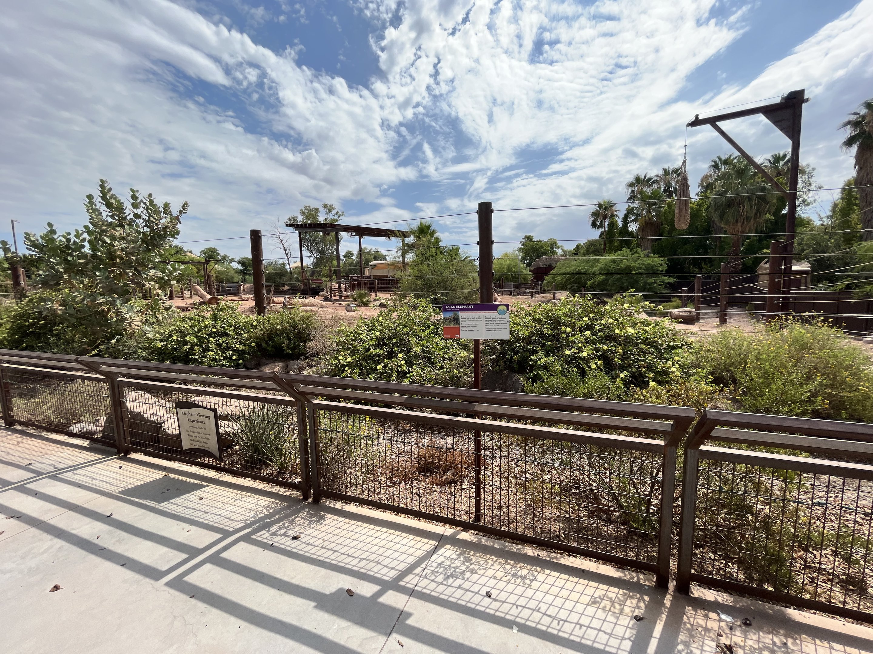 Asian Elephant/Indian Rhino Exhibit (rotational)