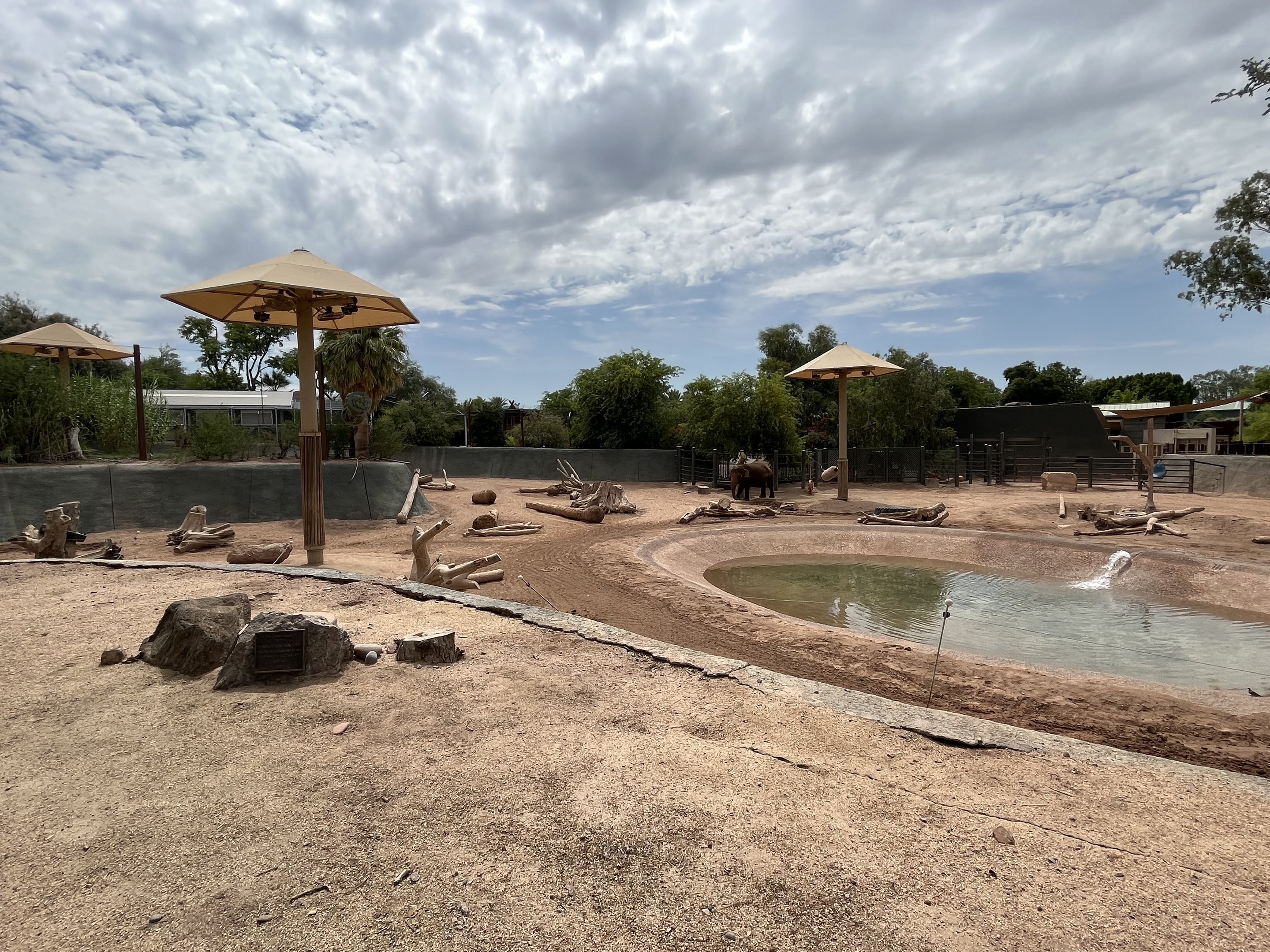 Asian Elephant/Indian Rhino Exhibit (rotational)