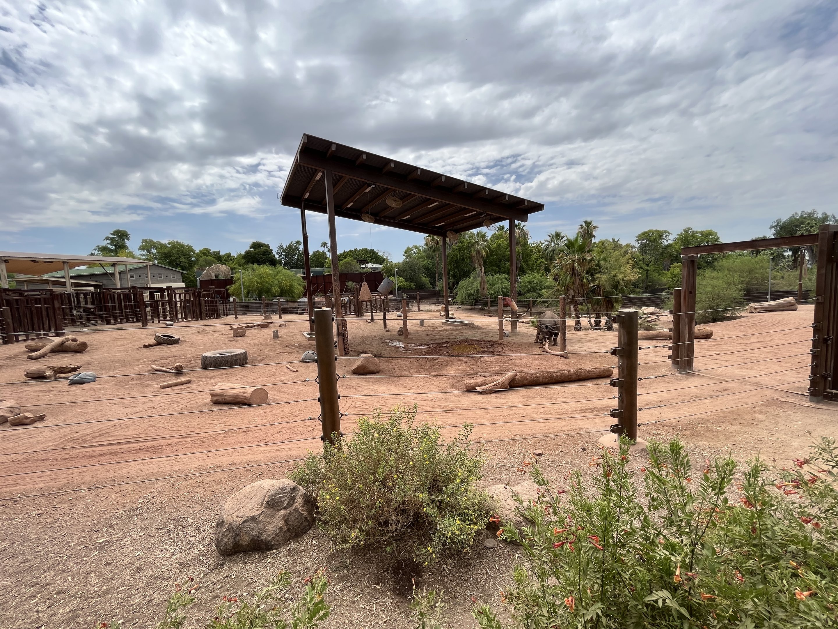 Asian Elephant/Indian Rhino Exhibit (rotational)