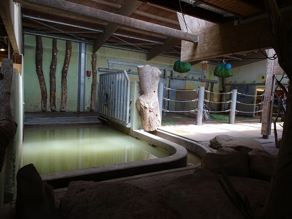 Asian elephant indoor enclose (07/22)