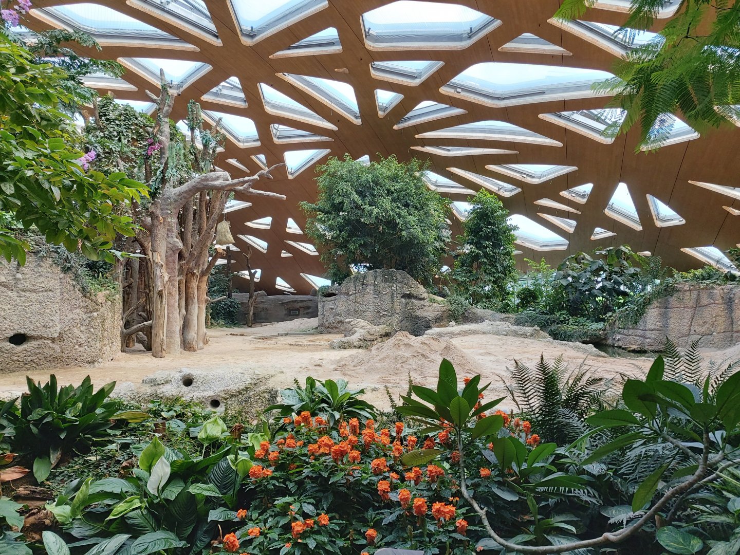 Asian elephant indoor enclosure (July 2020)