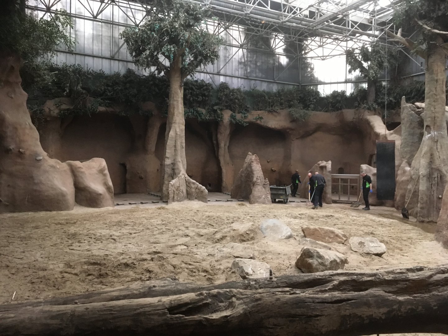 Asian elephant indoor enclosure