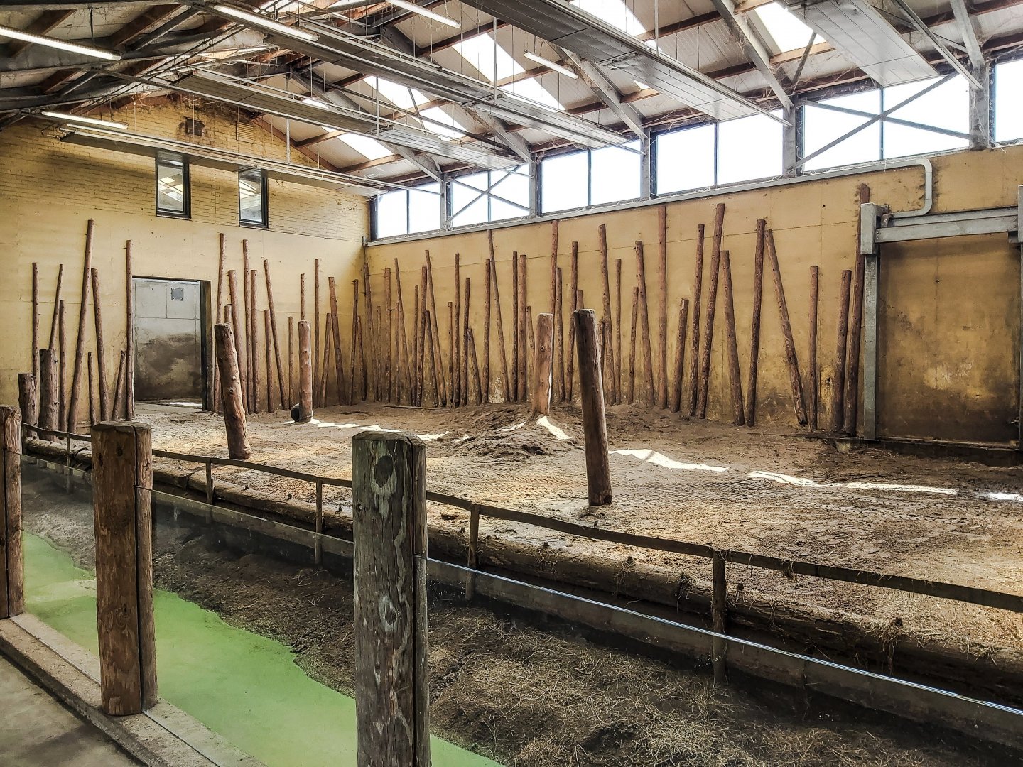 Asian elephant indoor enclosure
