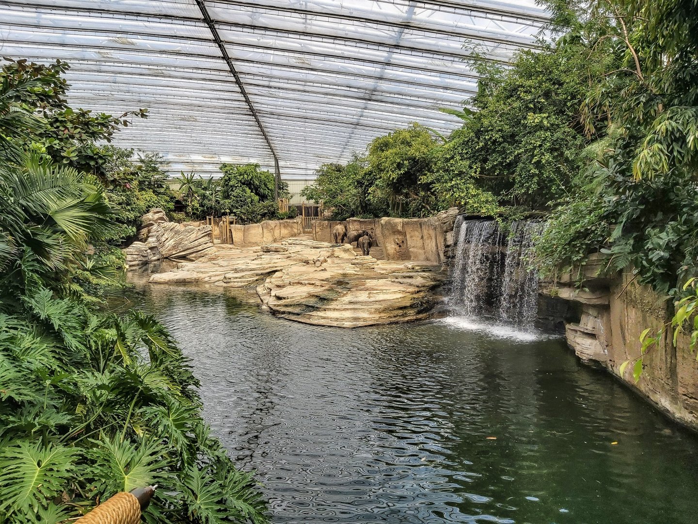 Asian elephant indoor enclosure
