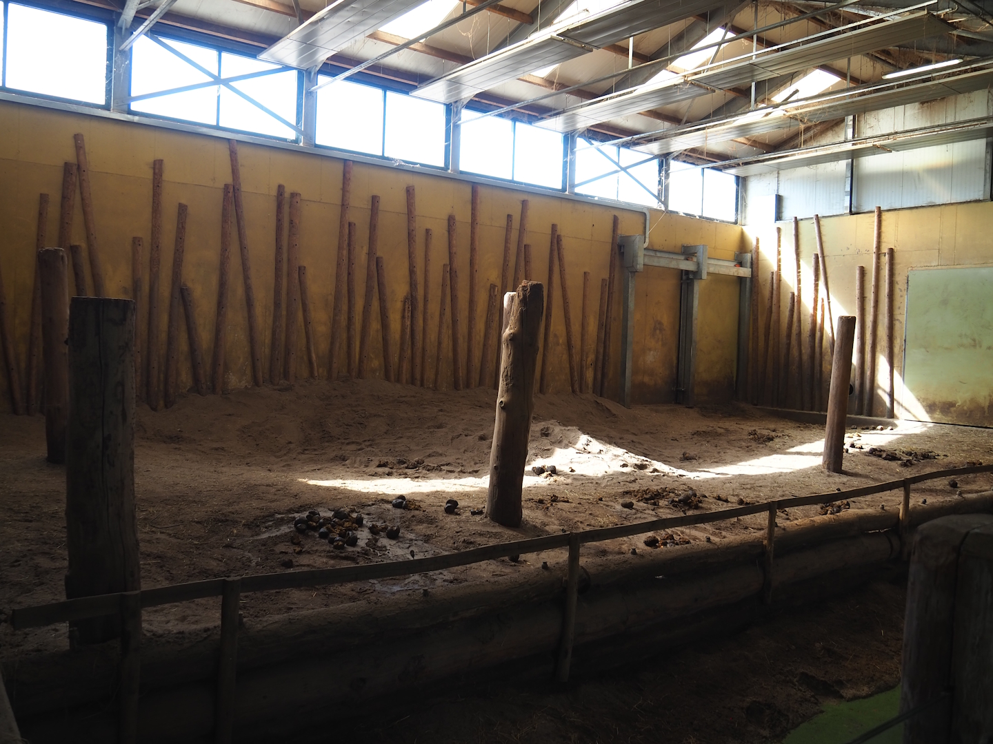 Asian elephant indoor exhibit, 2023-04-30