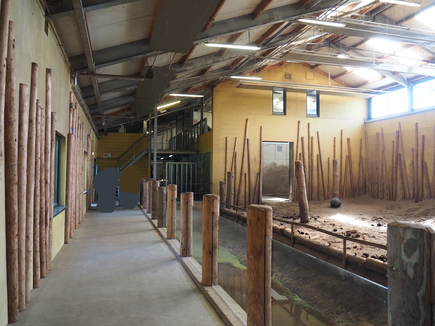 Asian elephant indoor exhibit and elephant house visitor area, 2023-04-30