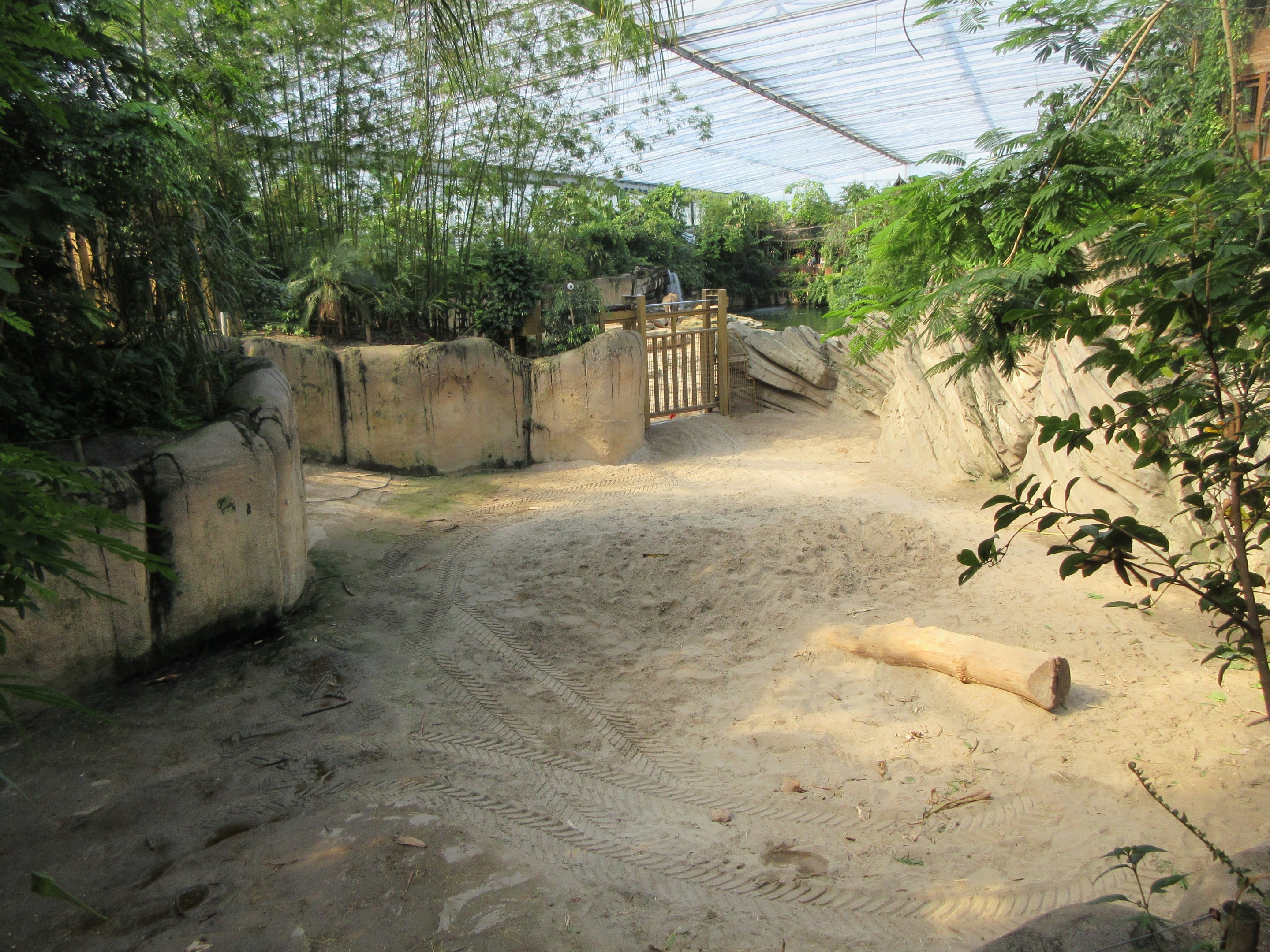 Asian Elephant Indoor Exhibit