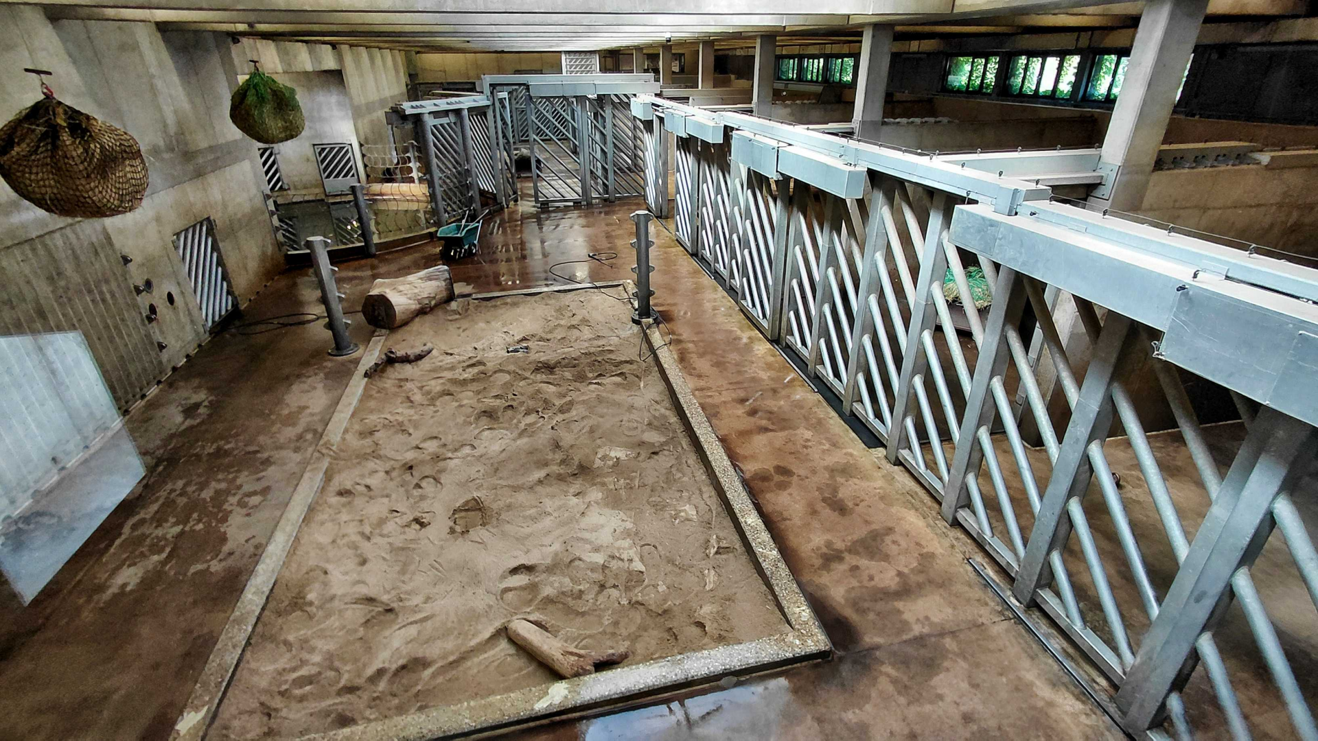 Asian elephant indoor exhibit