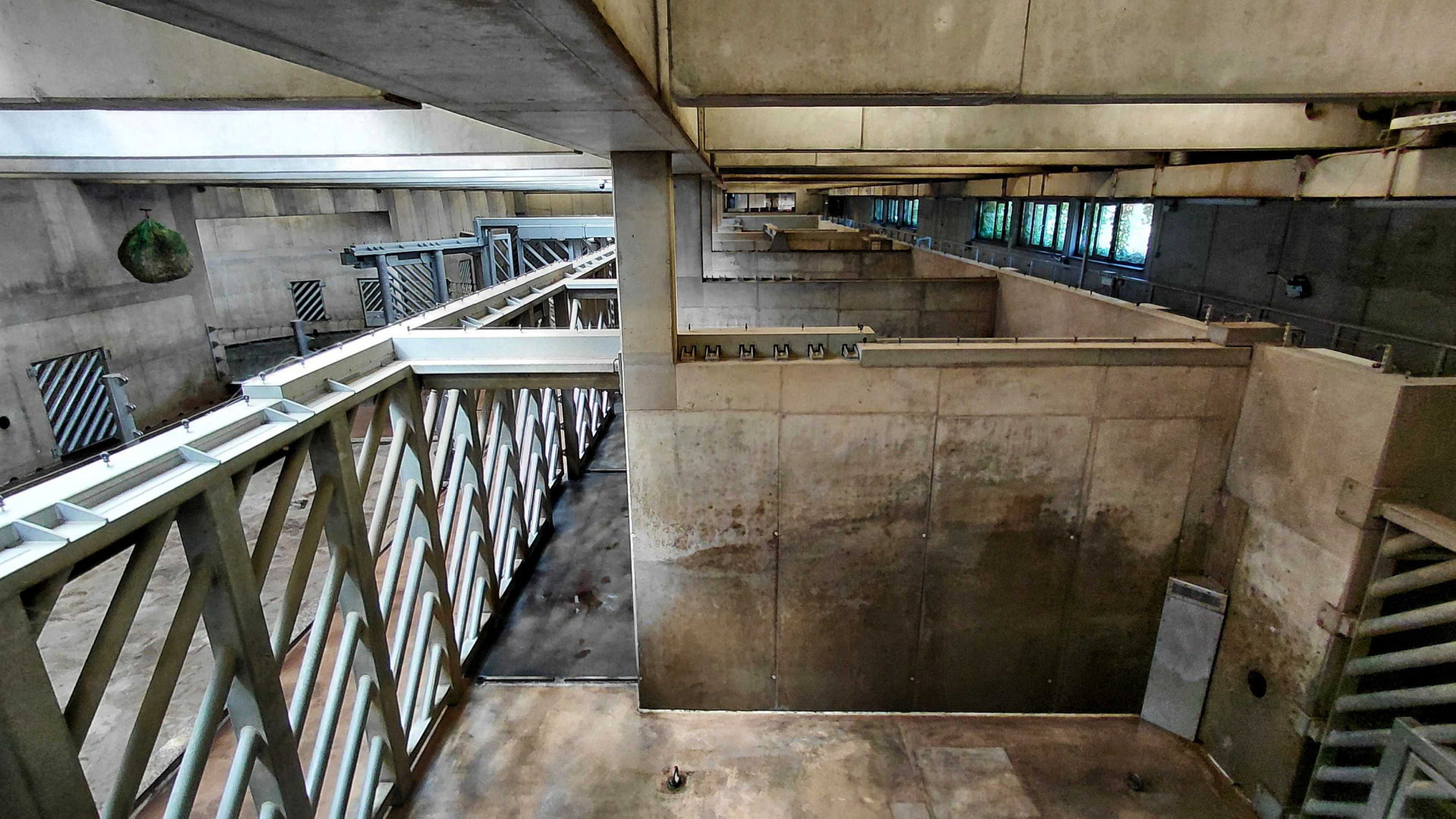 Asian elephant indoor exhibit