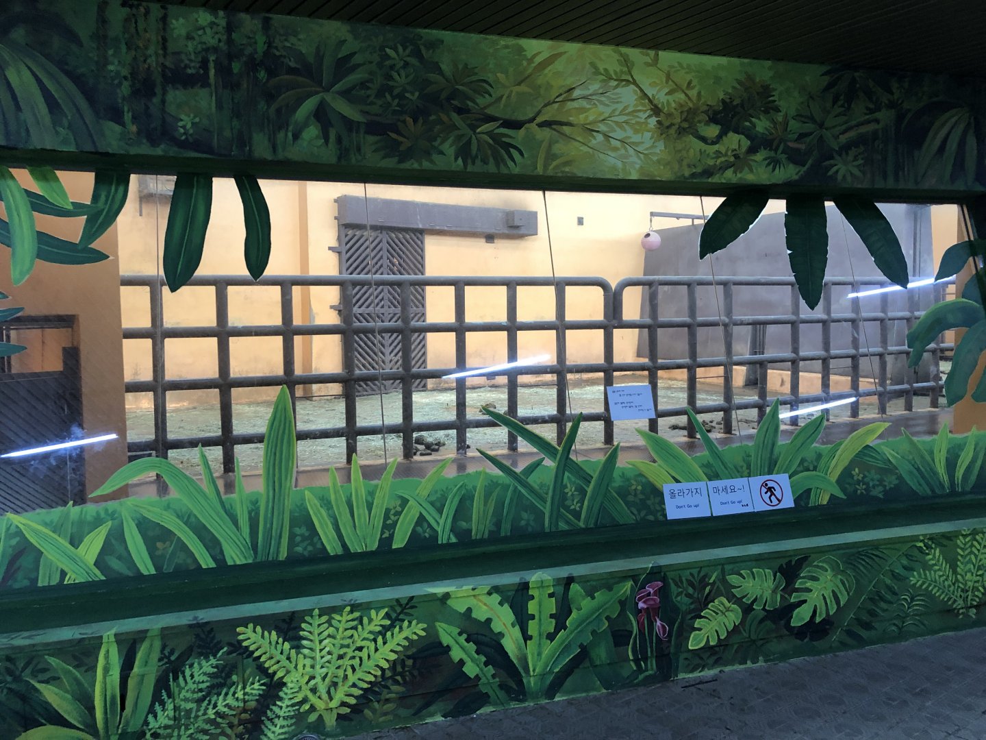 Asian Elephant Indoor Holding