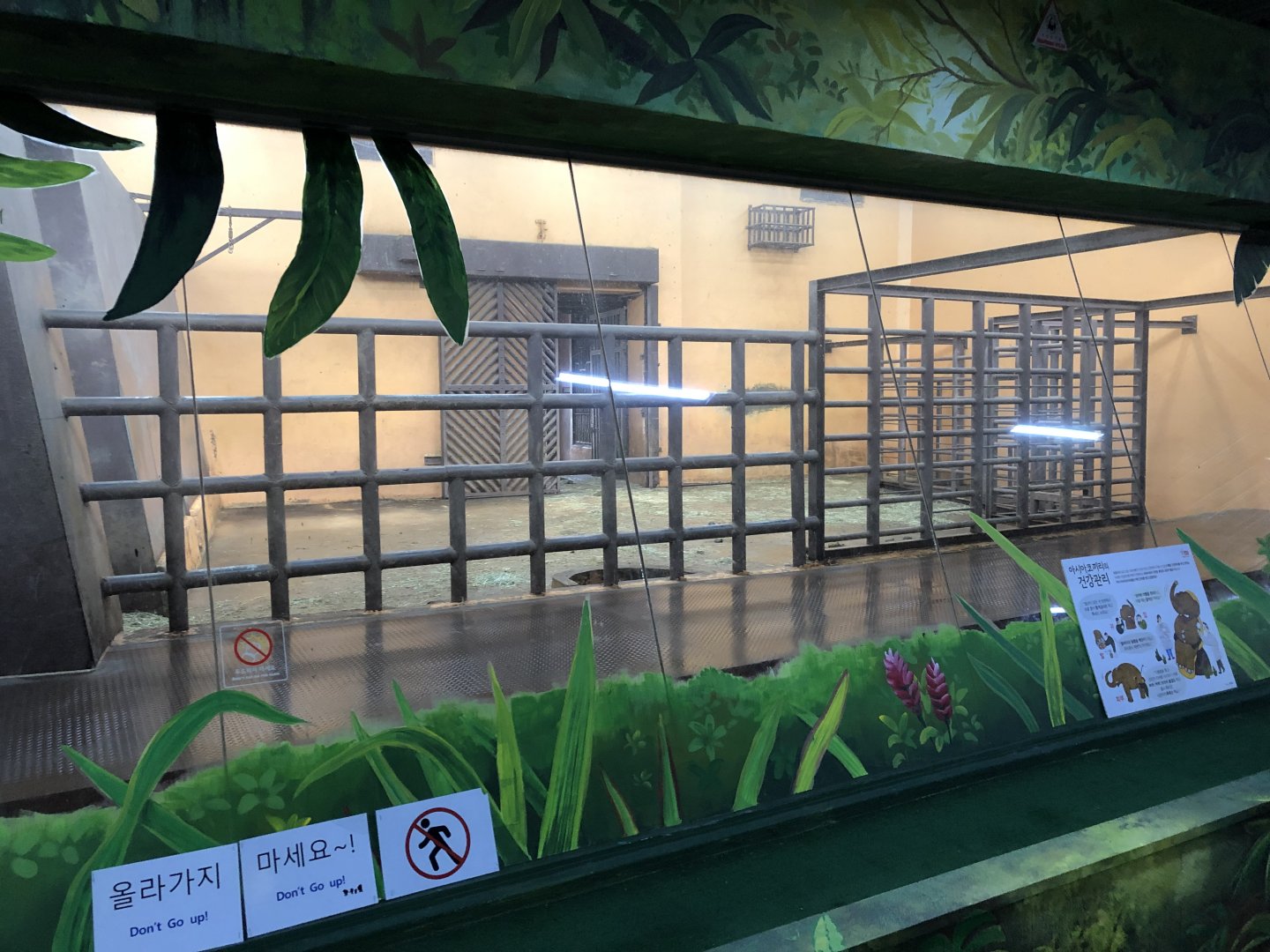 Asian Elephant Indoor Holding