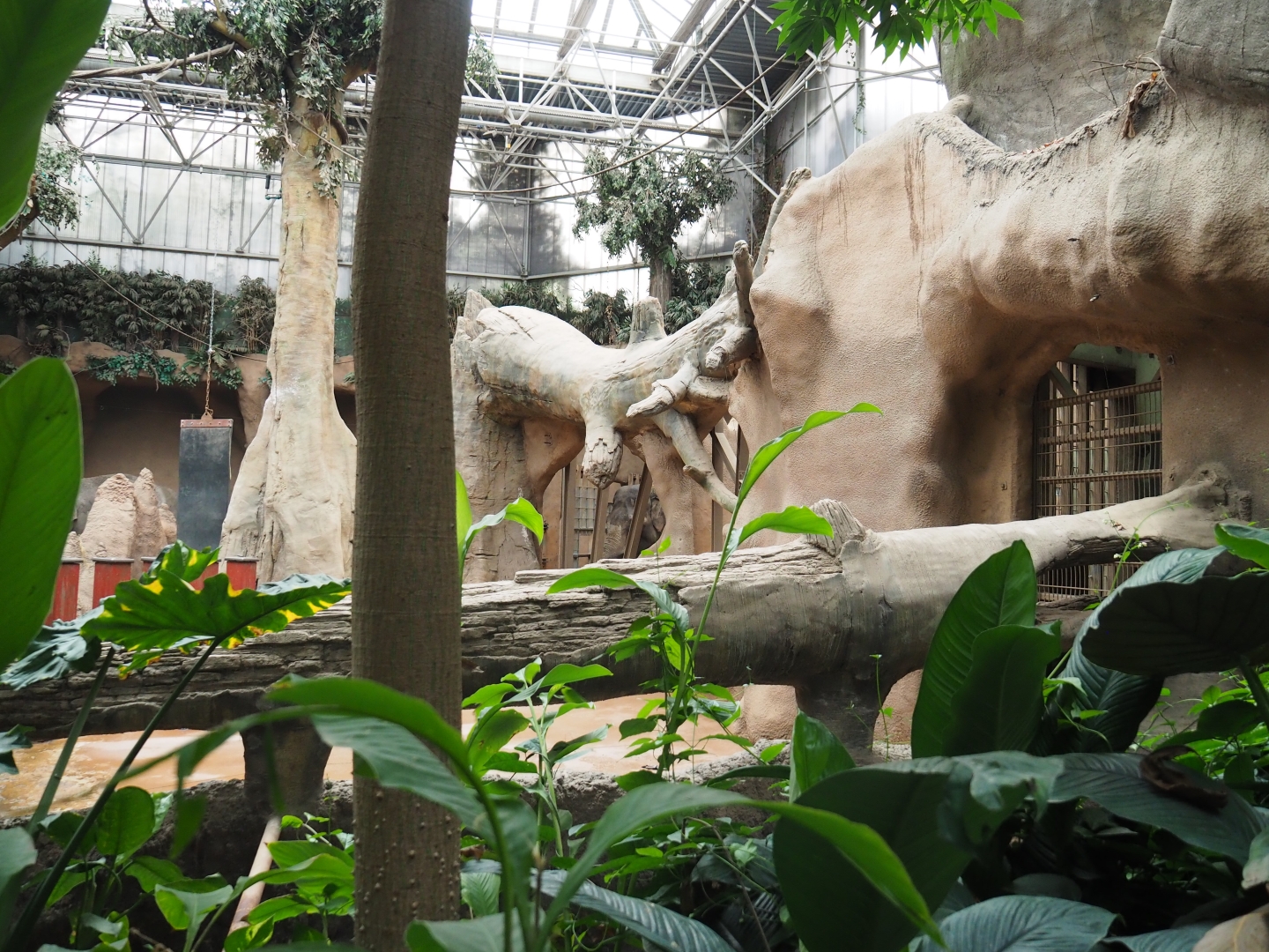 Asian elephant indoor housing in Taman Indah (Nov 10th, 2018)