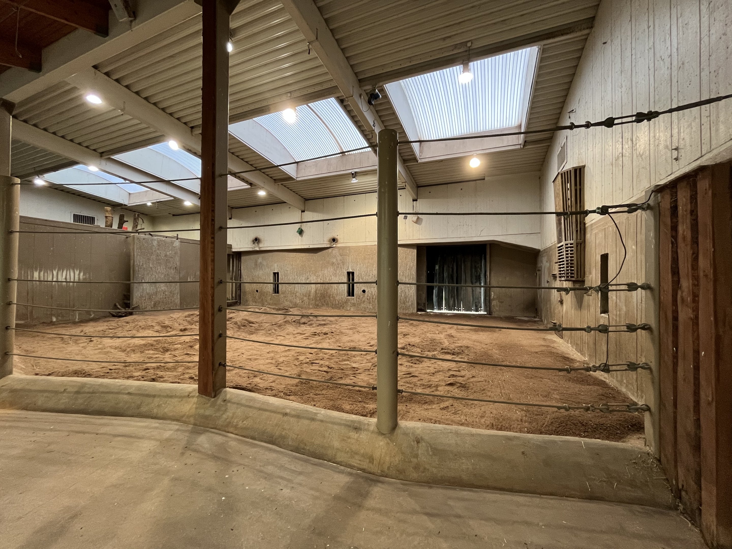 Asian Elephant - indoor quarters