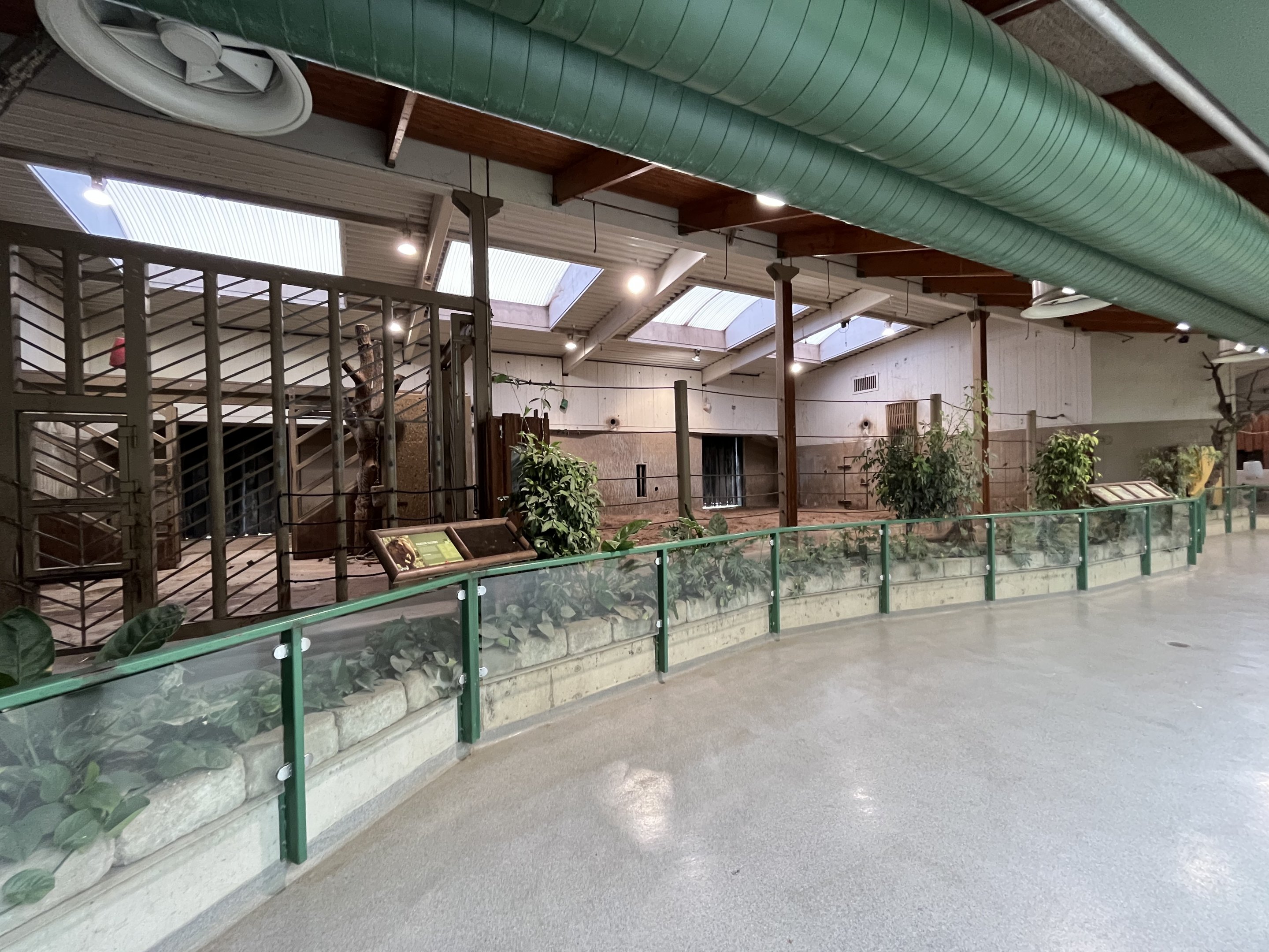 Asian Elephant - indoor quarters