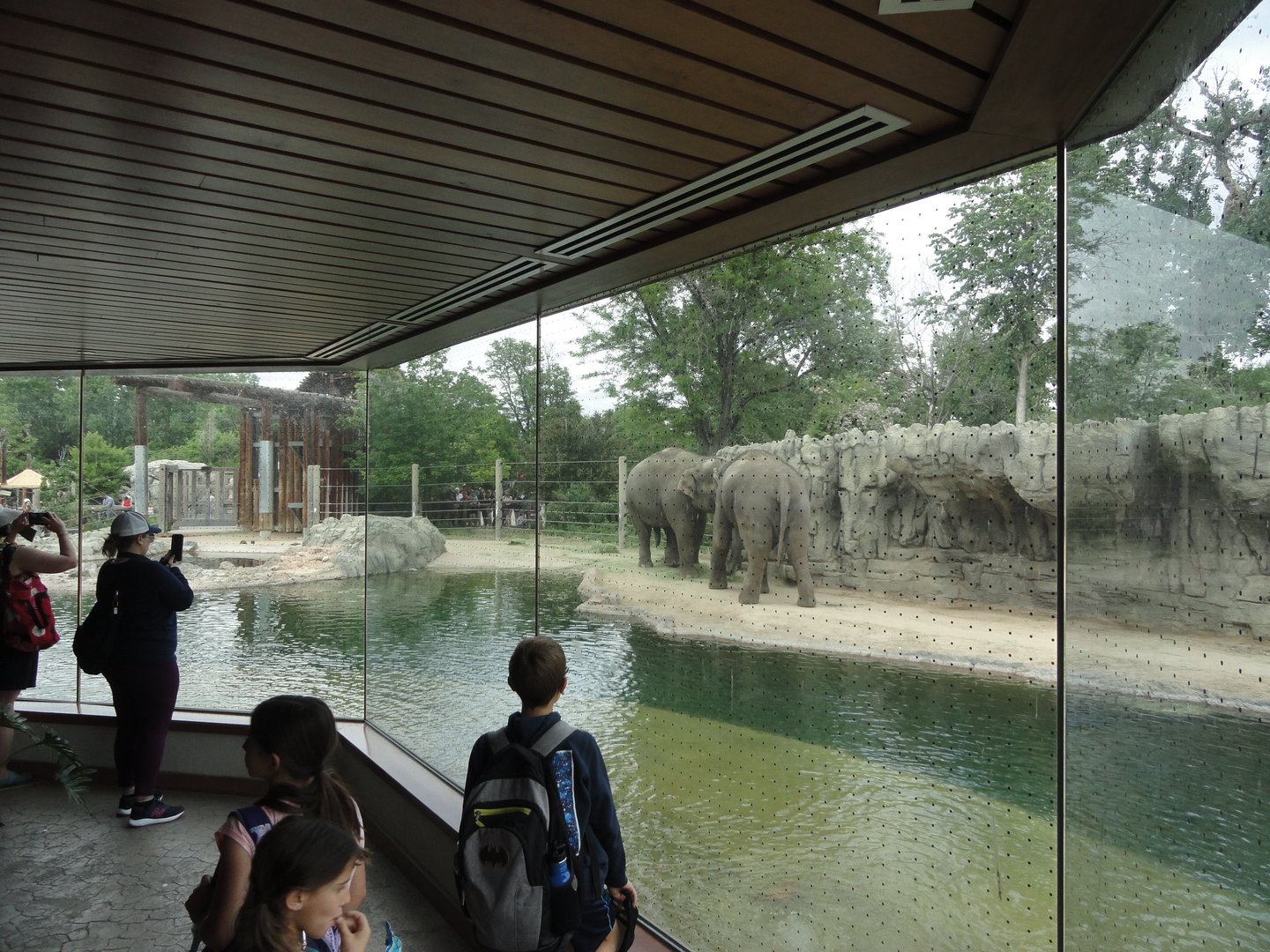 Asian Elephant Indoor Viewing Area