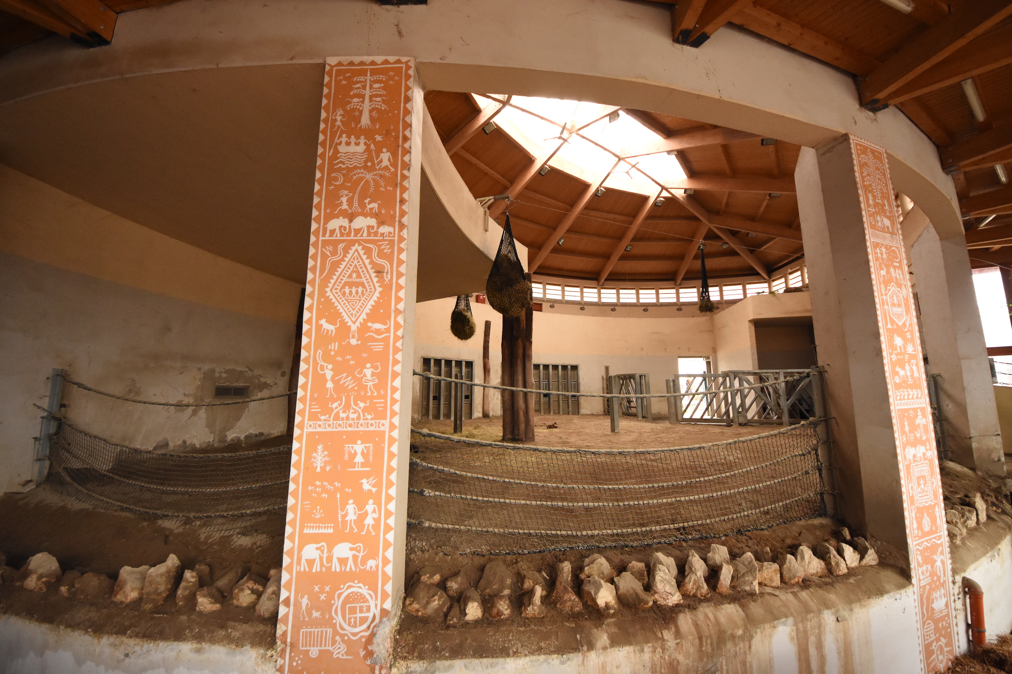 Asian elephant indoors