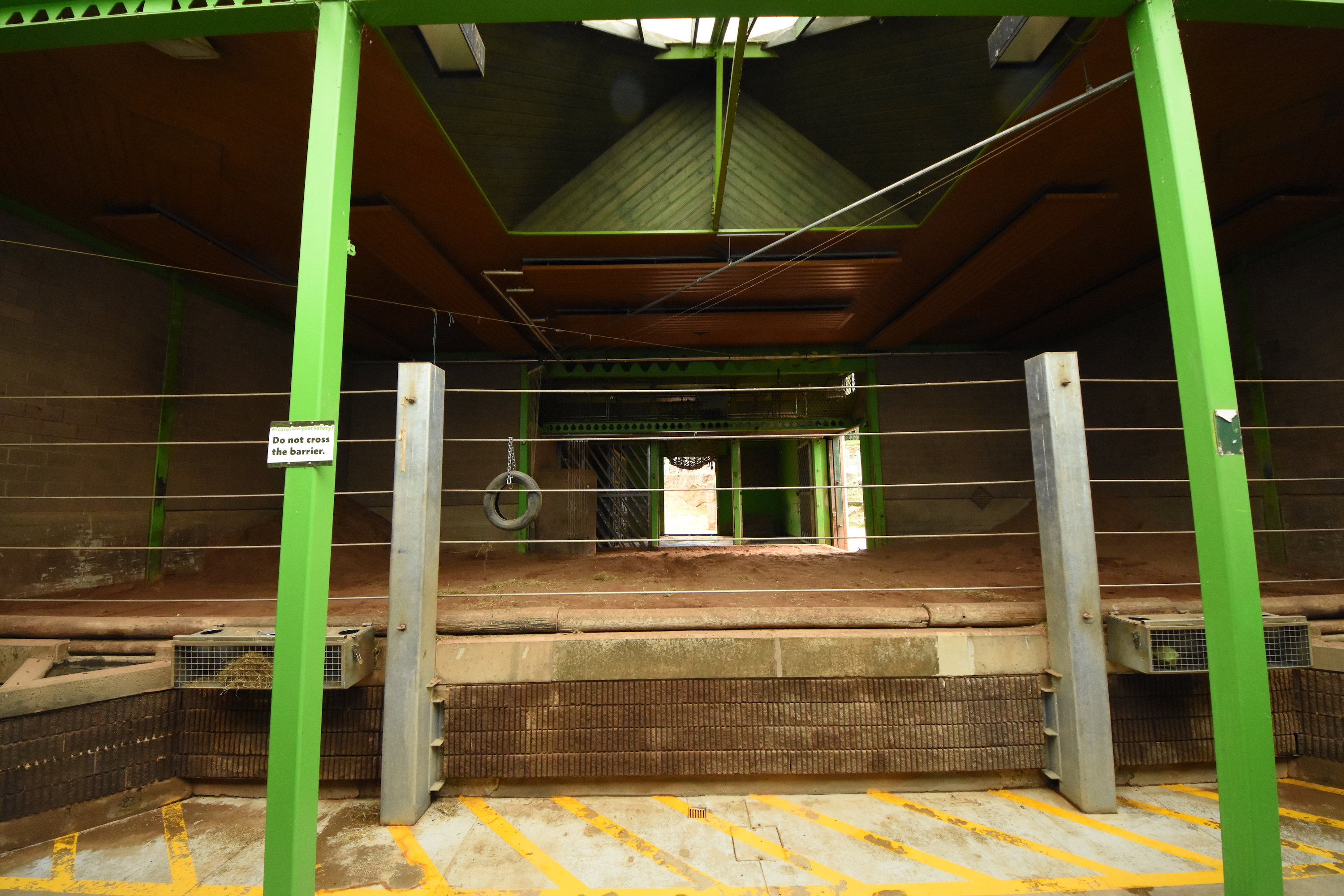 Asian elephant indoors