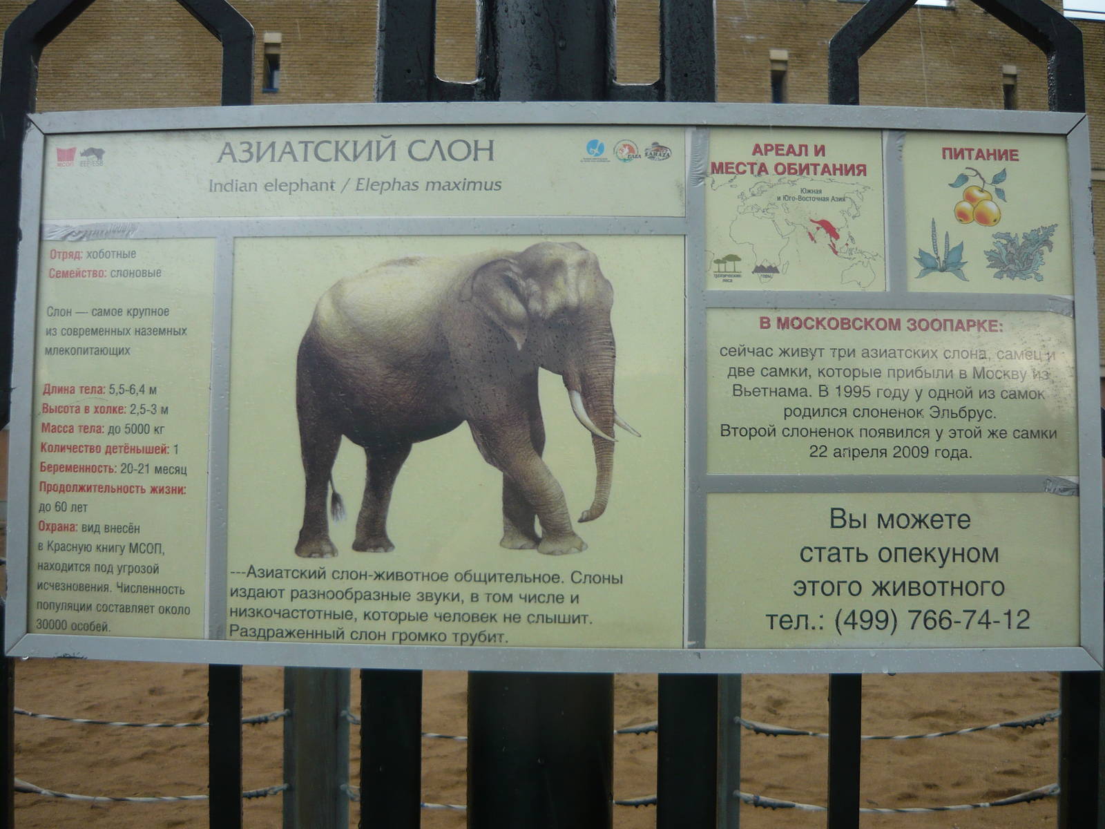 Asian elephant info board