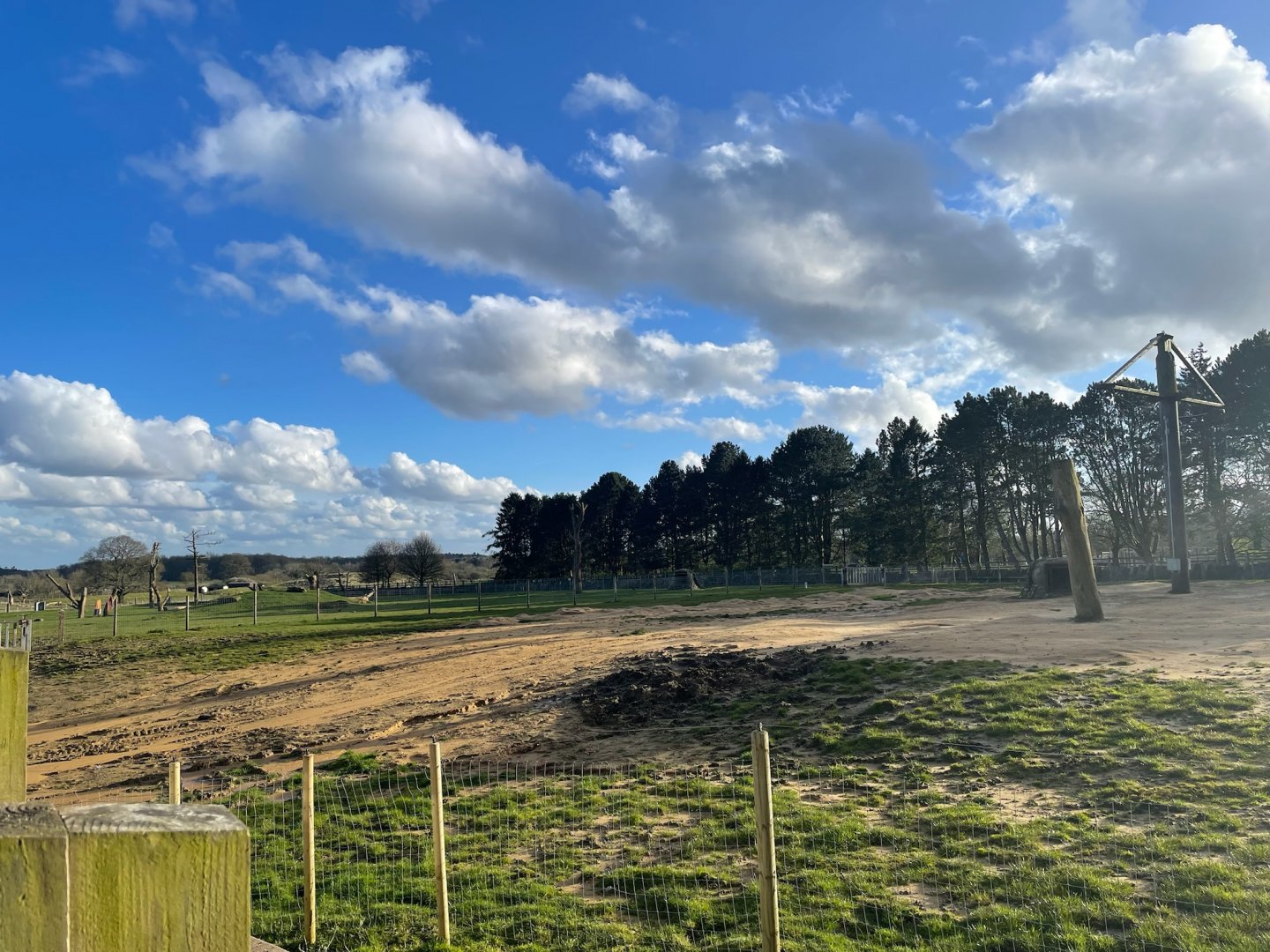 Asian Elephant Main Outdoor Enclosure