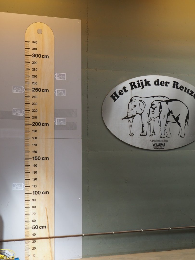 Asian elephant measurements
