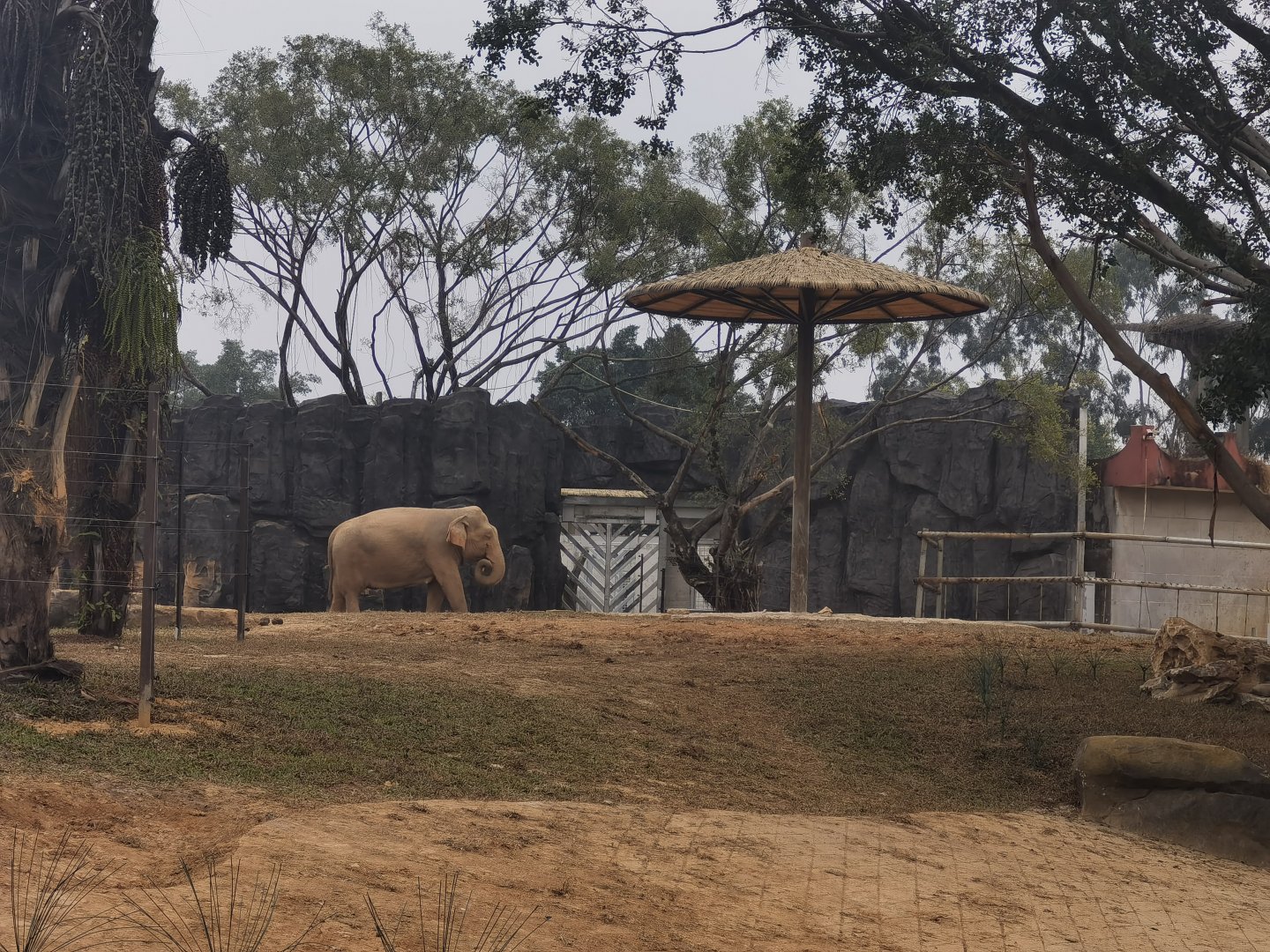 Asian Elephant New Exhibition Area