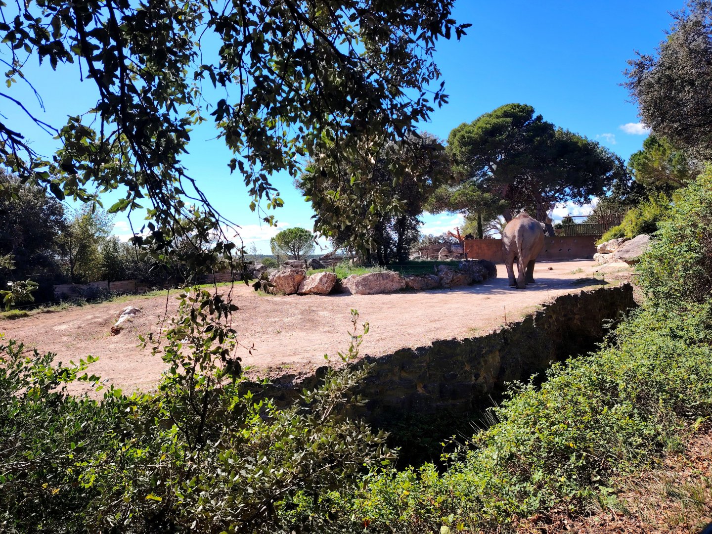 Asian Elephant old Exhibit