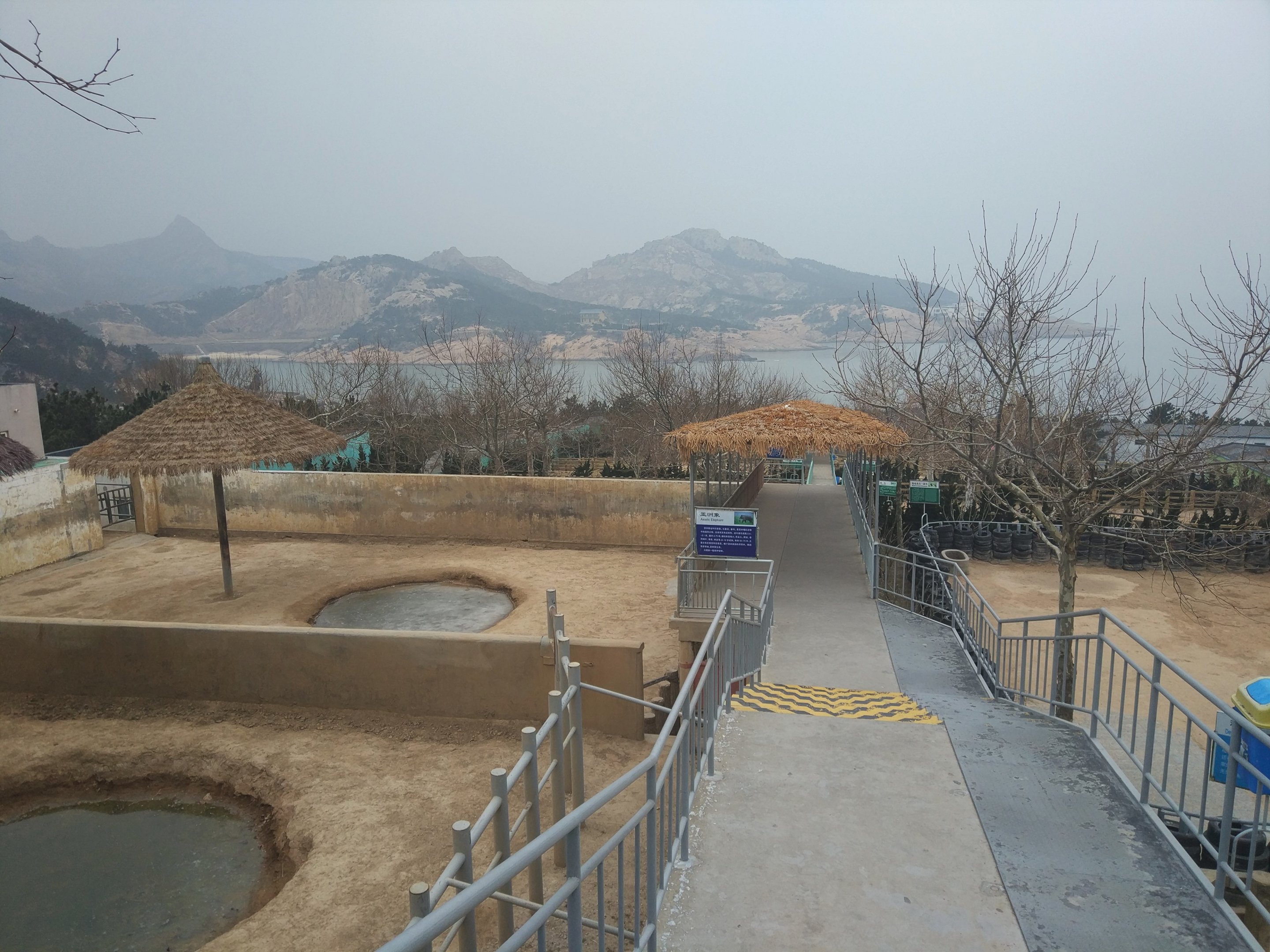 Asian Elephant On The Left, Rhino On The Right