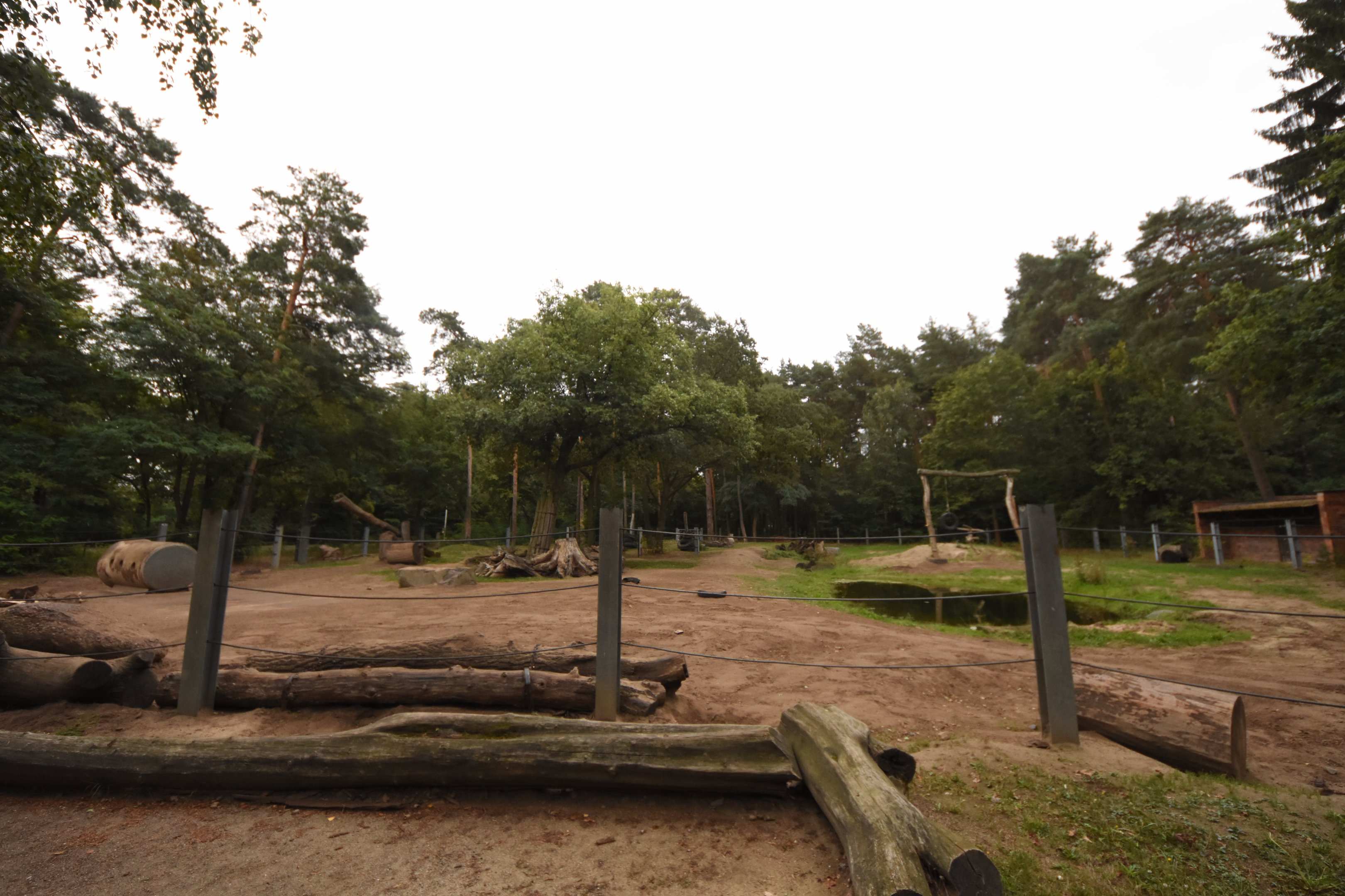 Asian elephant outdoor enclosure