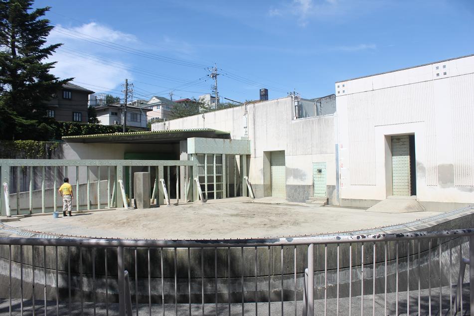 Asian Elephant outdoor exhibit.