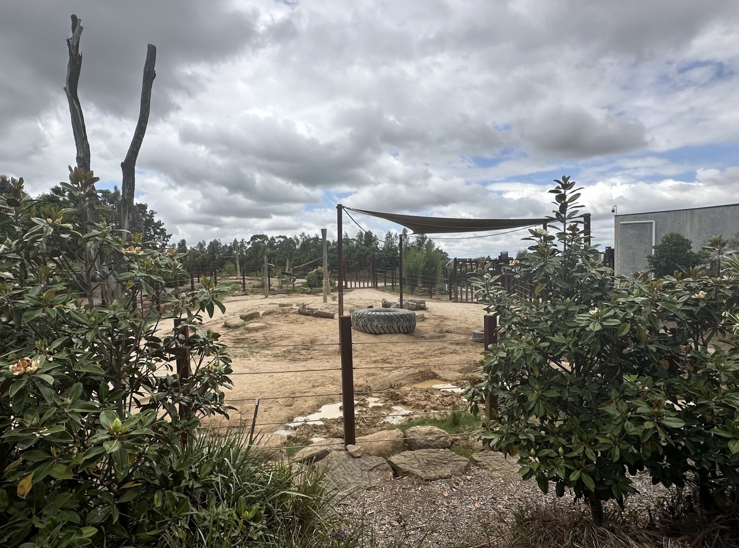 Asian Elephant Paddock 1