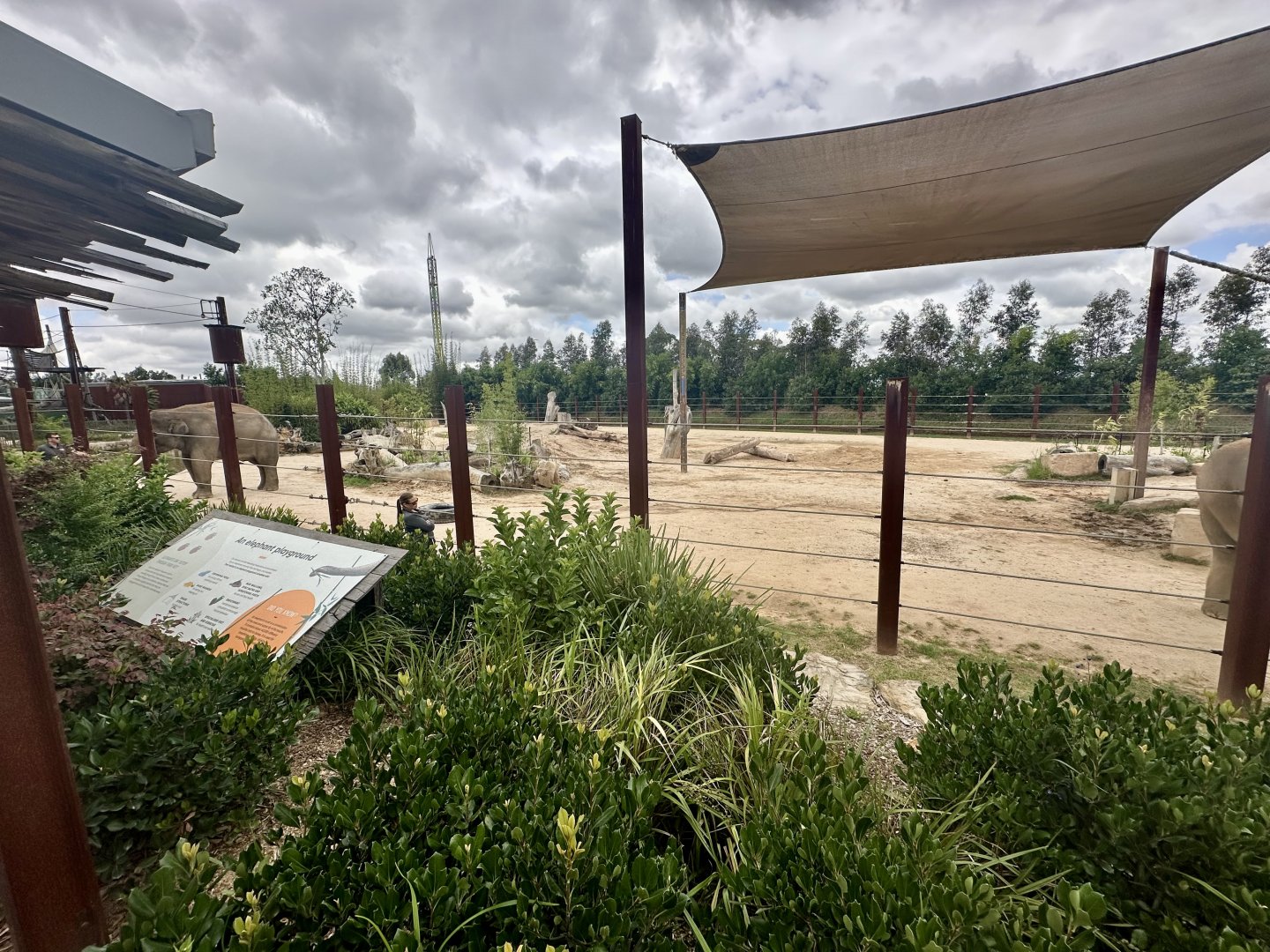 Asian Elephant Paddock 2