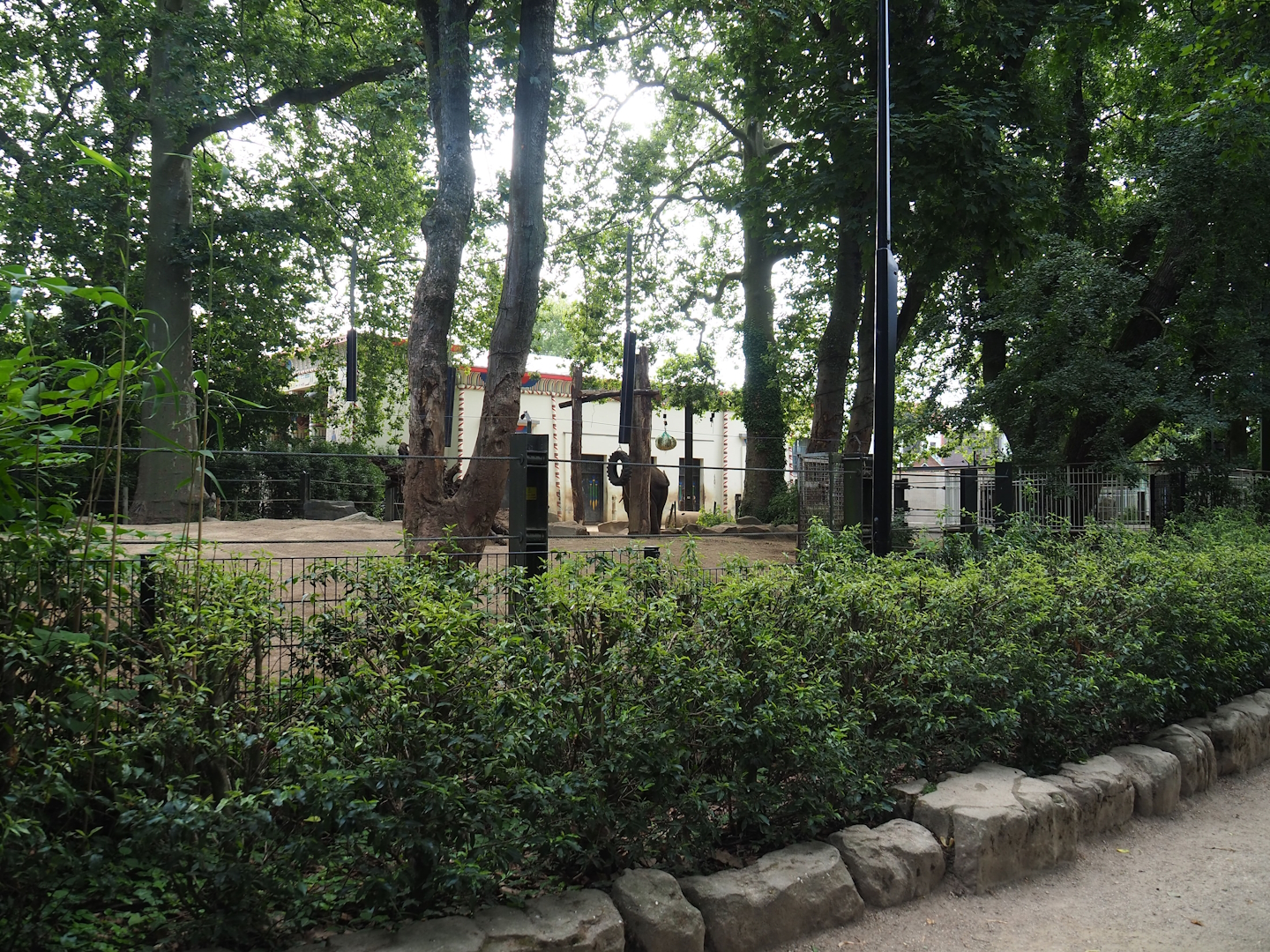 Asian elephant paddock, 2023-07-22