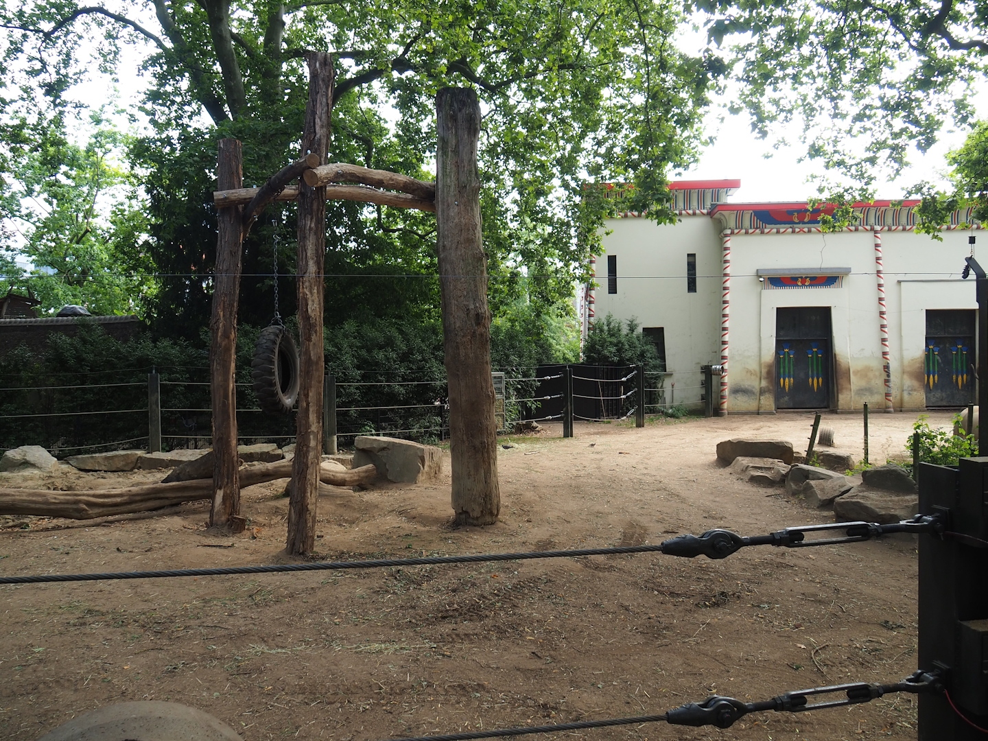 Asian elephant paddock, 2023-07-22