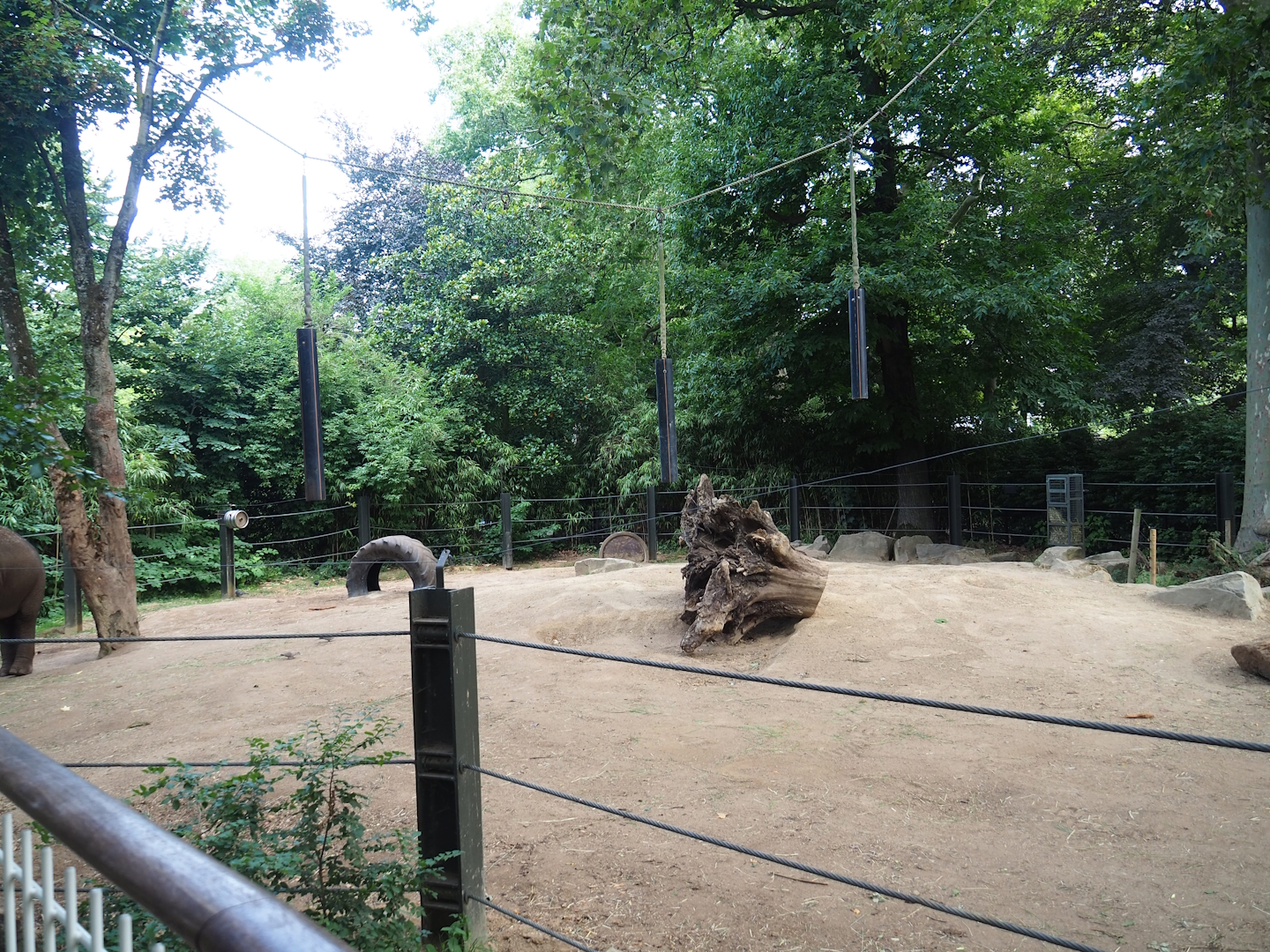 Asian elephant paddock, 2023-07-22