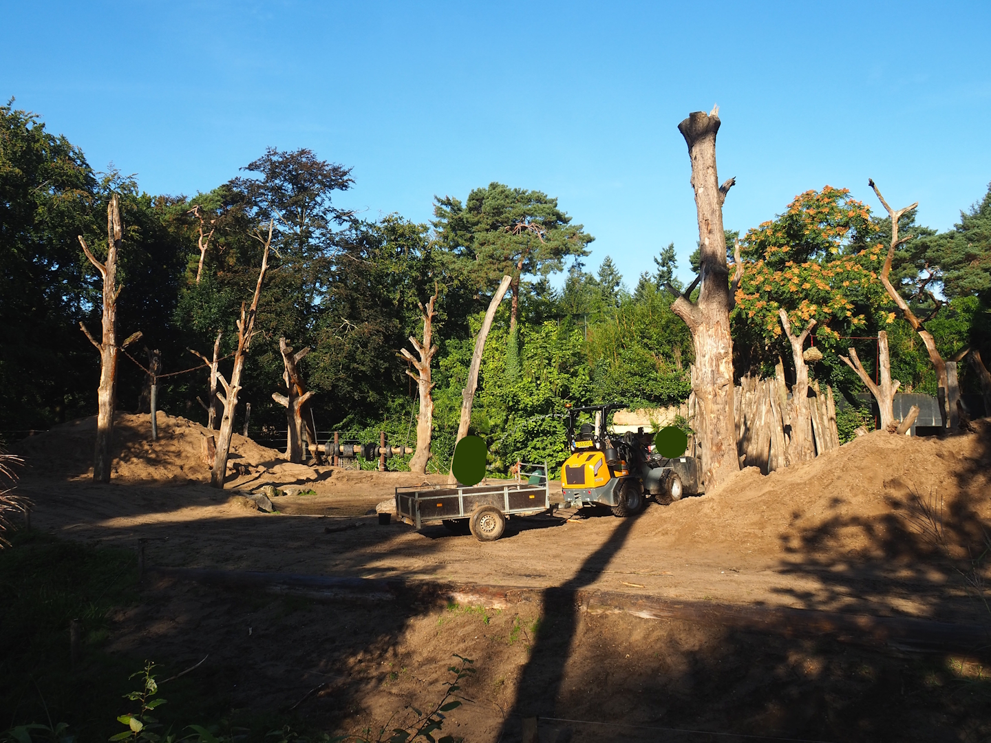 Asian elephant paddock, 2023-09-24