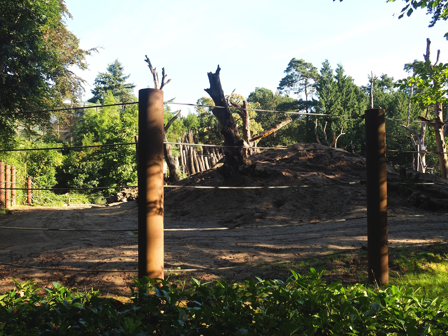 Asian elephant paddock, 2023-09-24