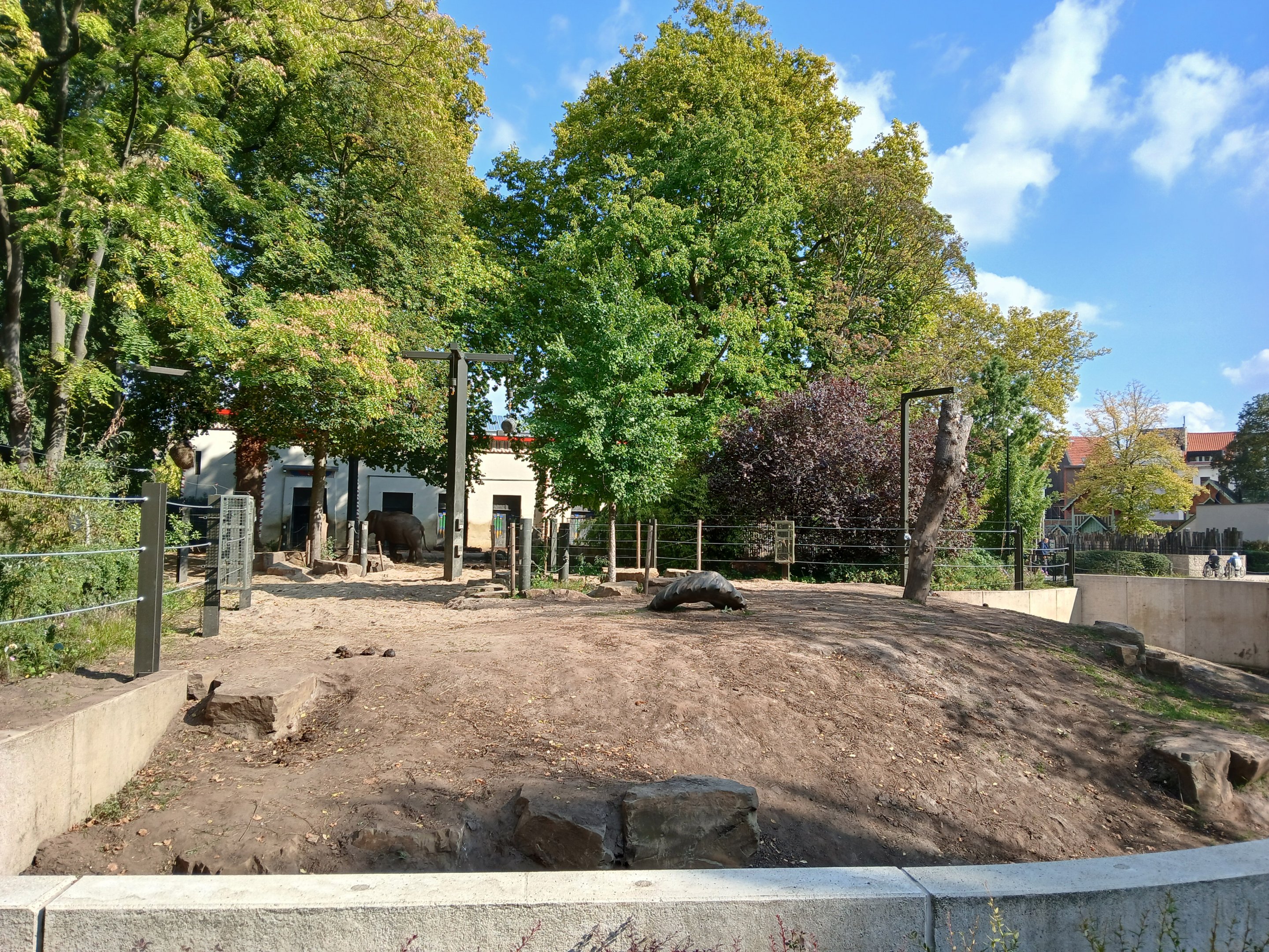 Asian Elephant paddock (30th September 2025)