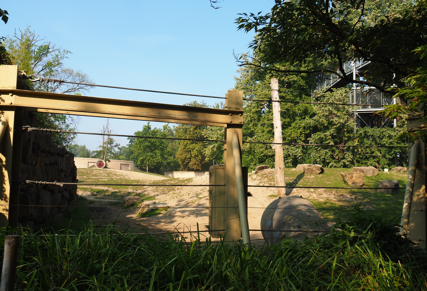 Asian elephant paddock and elephant feeding area, 2020-09-16