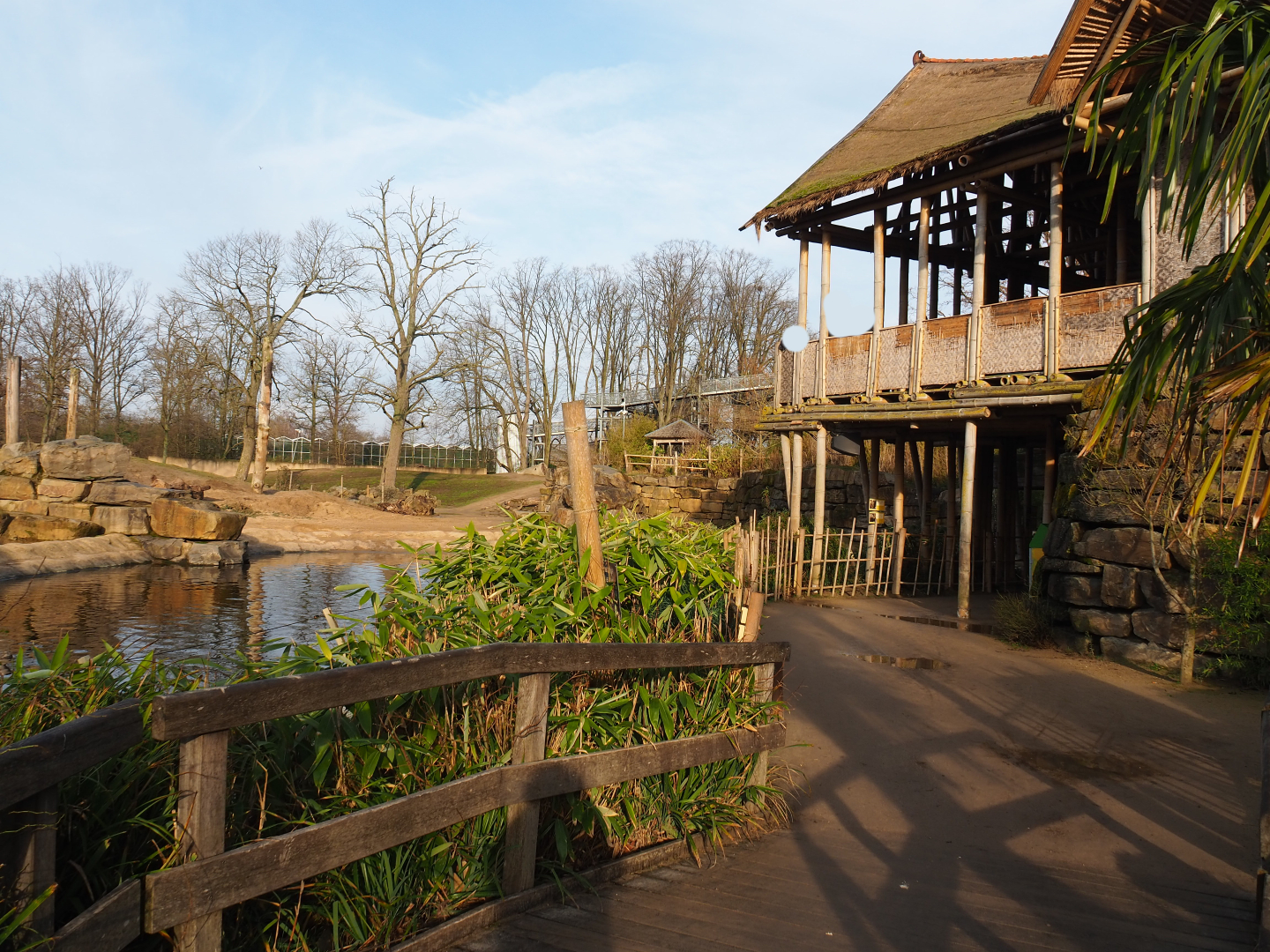 Asian elephant paddock and observation areas, 2019-12-28