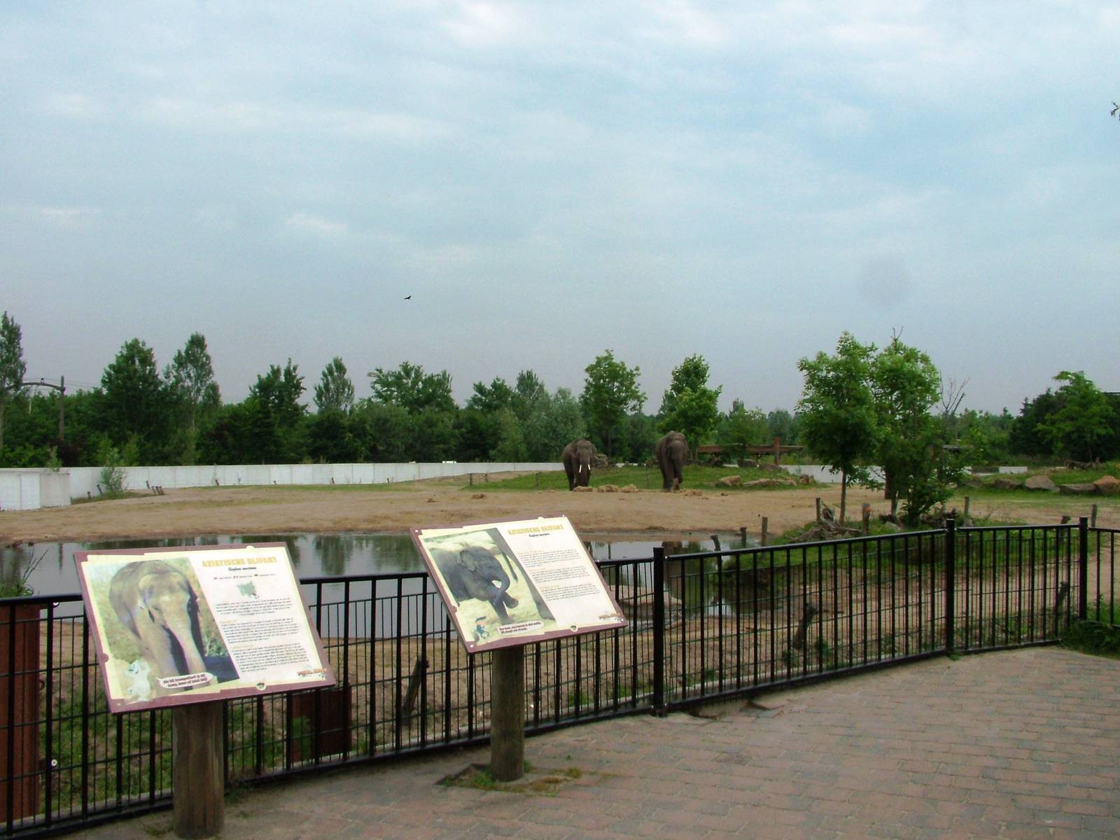 Asian Elephant Paddock at Dierenrijk, 31/05/12