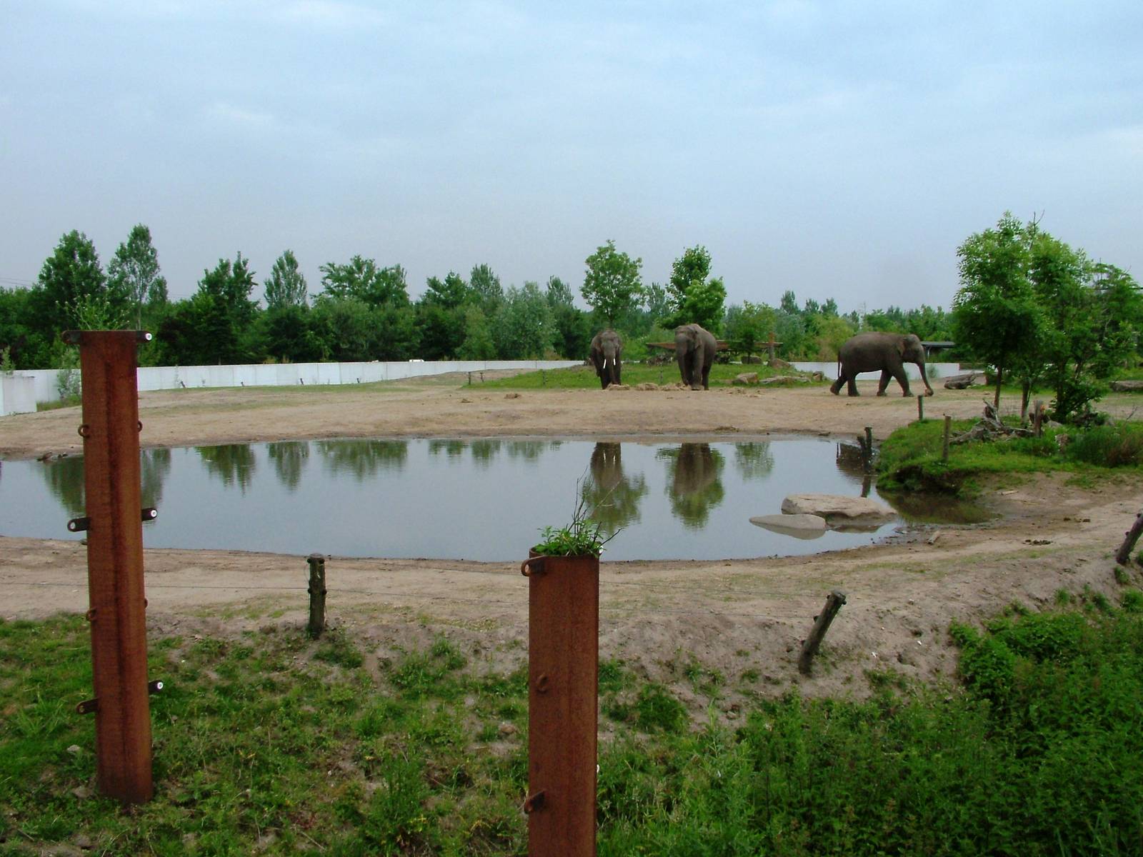 Asian Elephant Paddock at Dierenrijk, 31/05/12